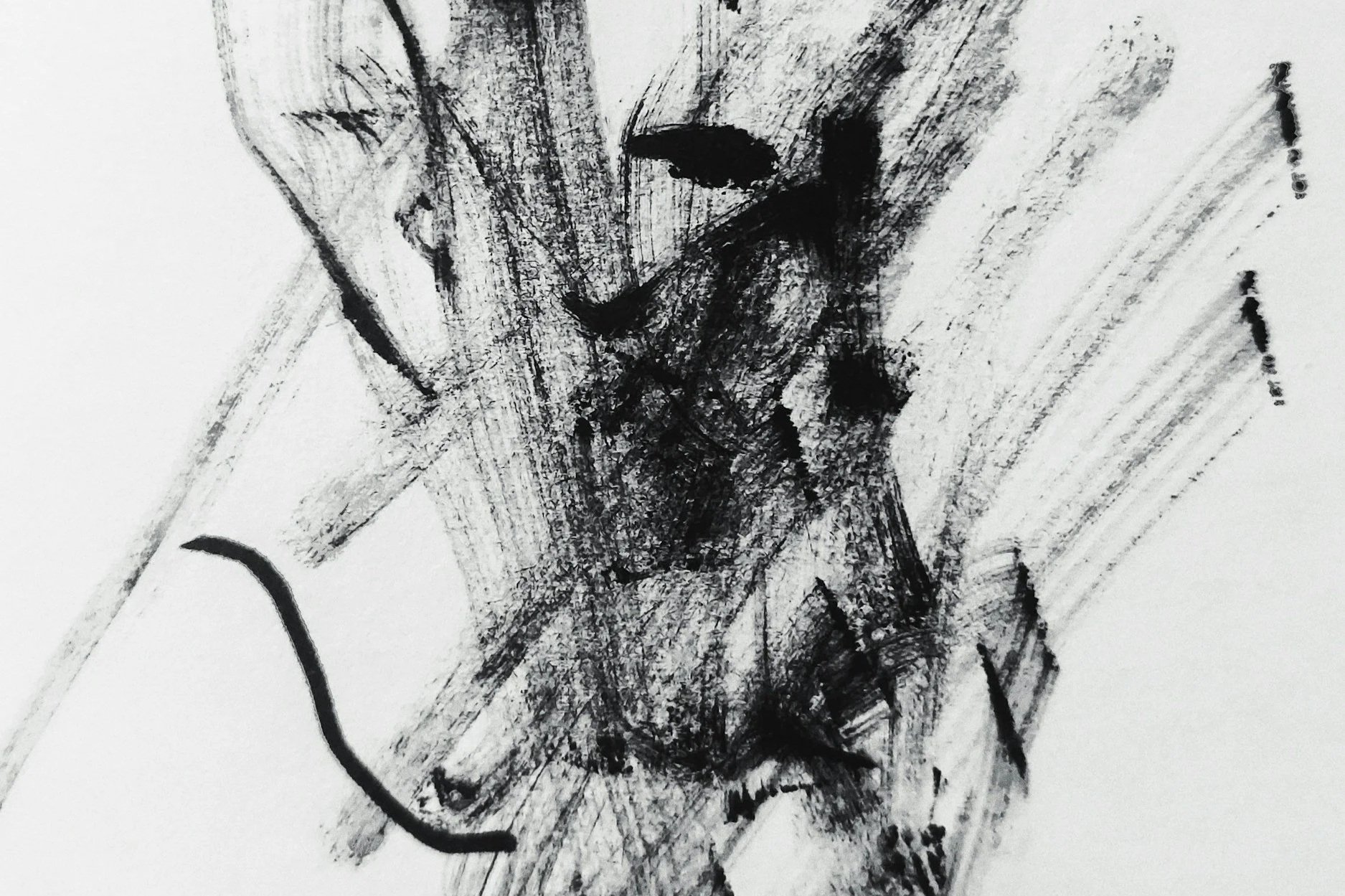 Abstract black-and-white charcoal drawing of a textured face with bold black brushstrokes