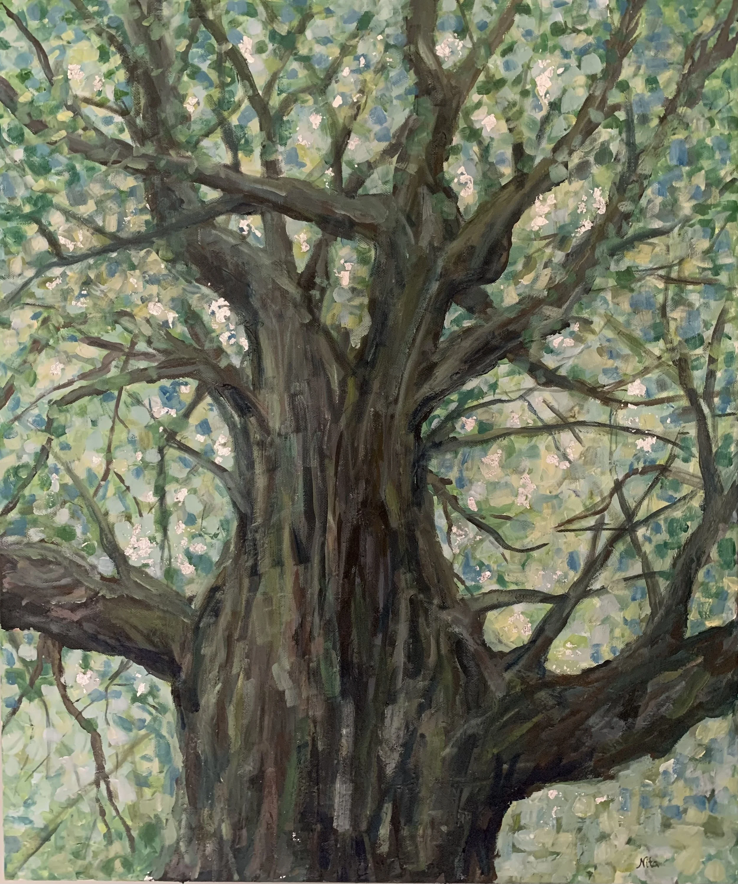 Silver Sycamore, acrylic and silver leaf, $400