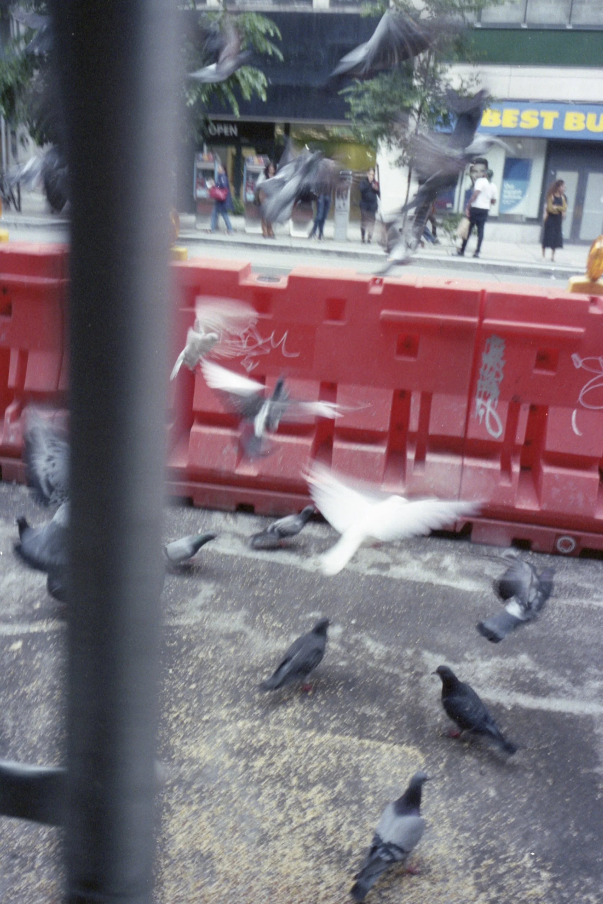 long_26_film-30.jpg