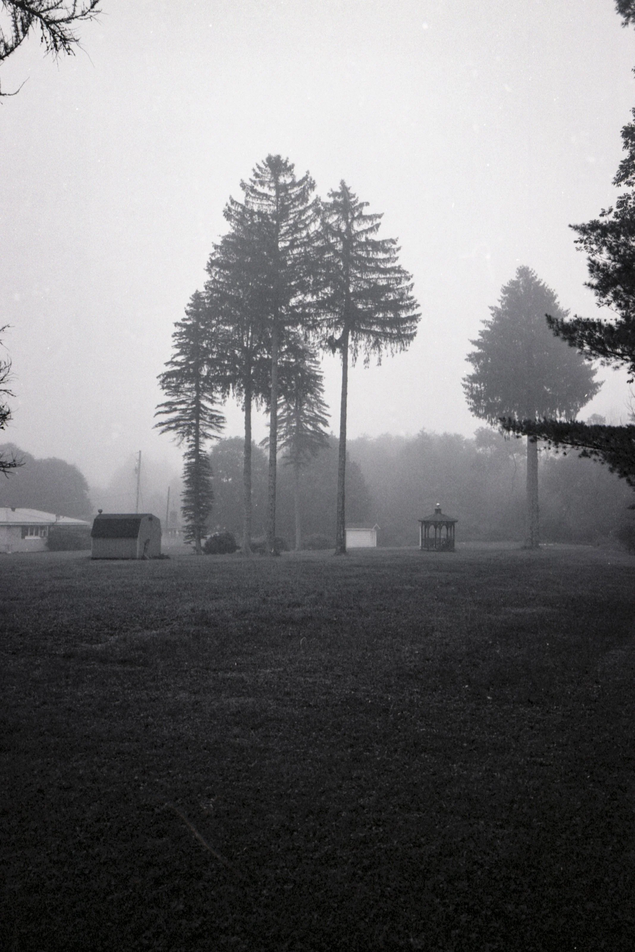long_26_film-27.jpg