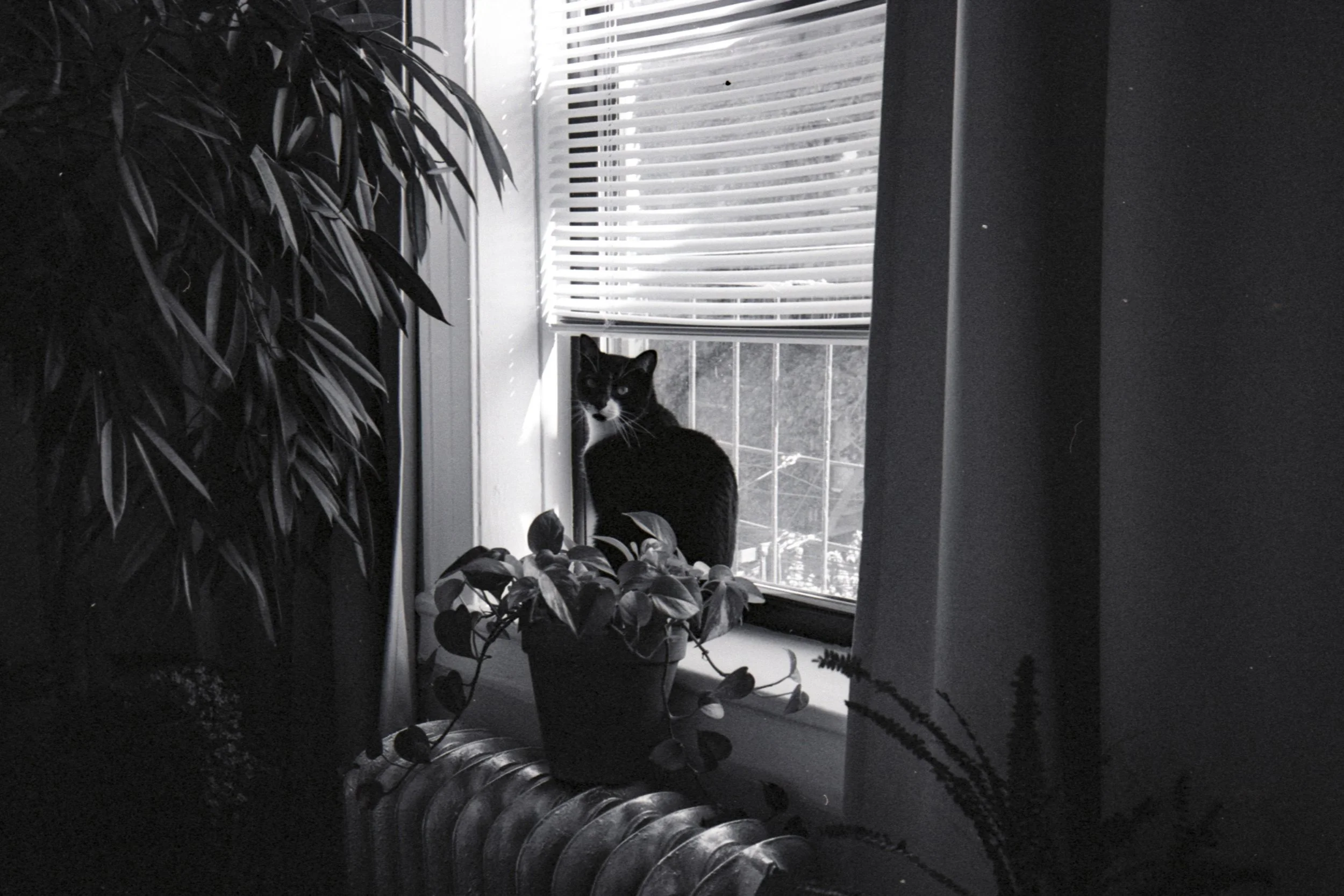 long_26_film-24.jpg