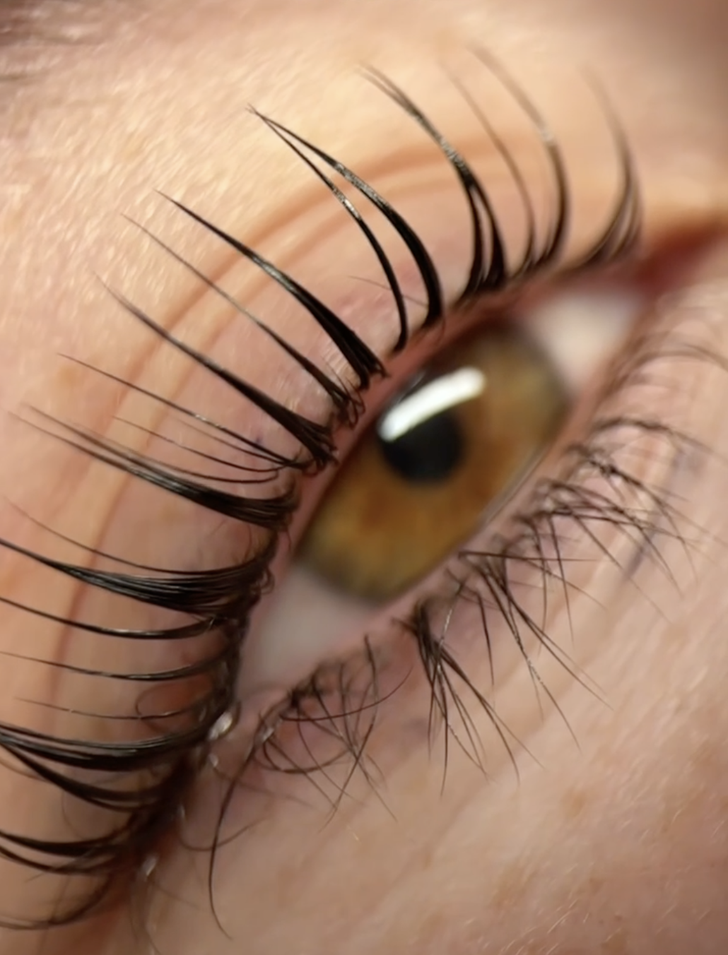 Close-up of lifted lashes, showing their separation and curl.