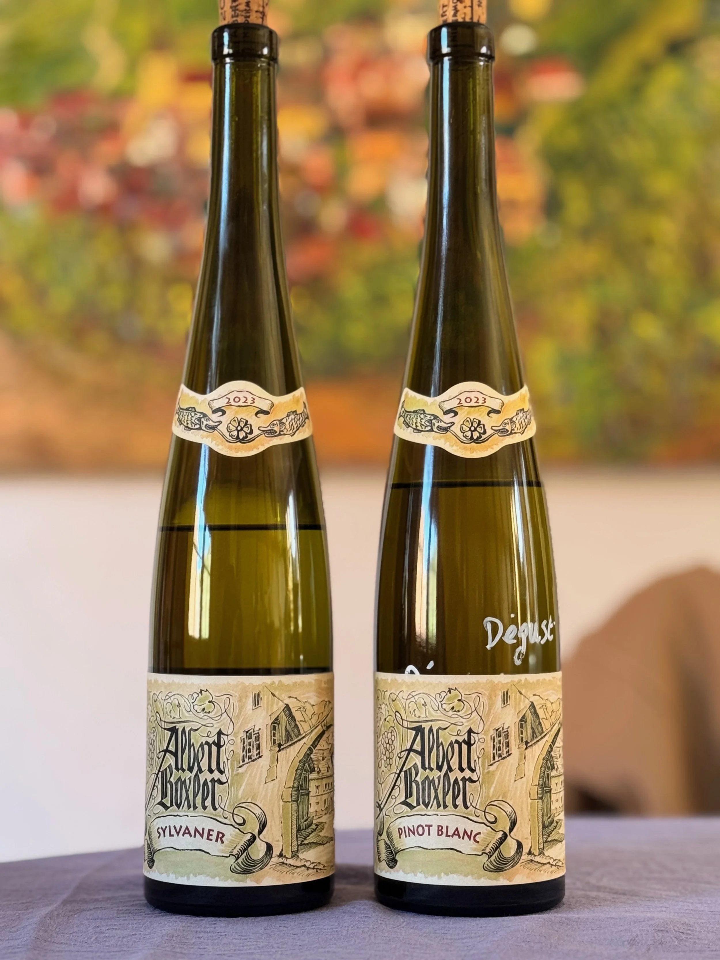 jean-boxler-albert-pinot-blanc-gris-sylvaner.jpeg