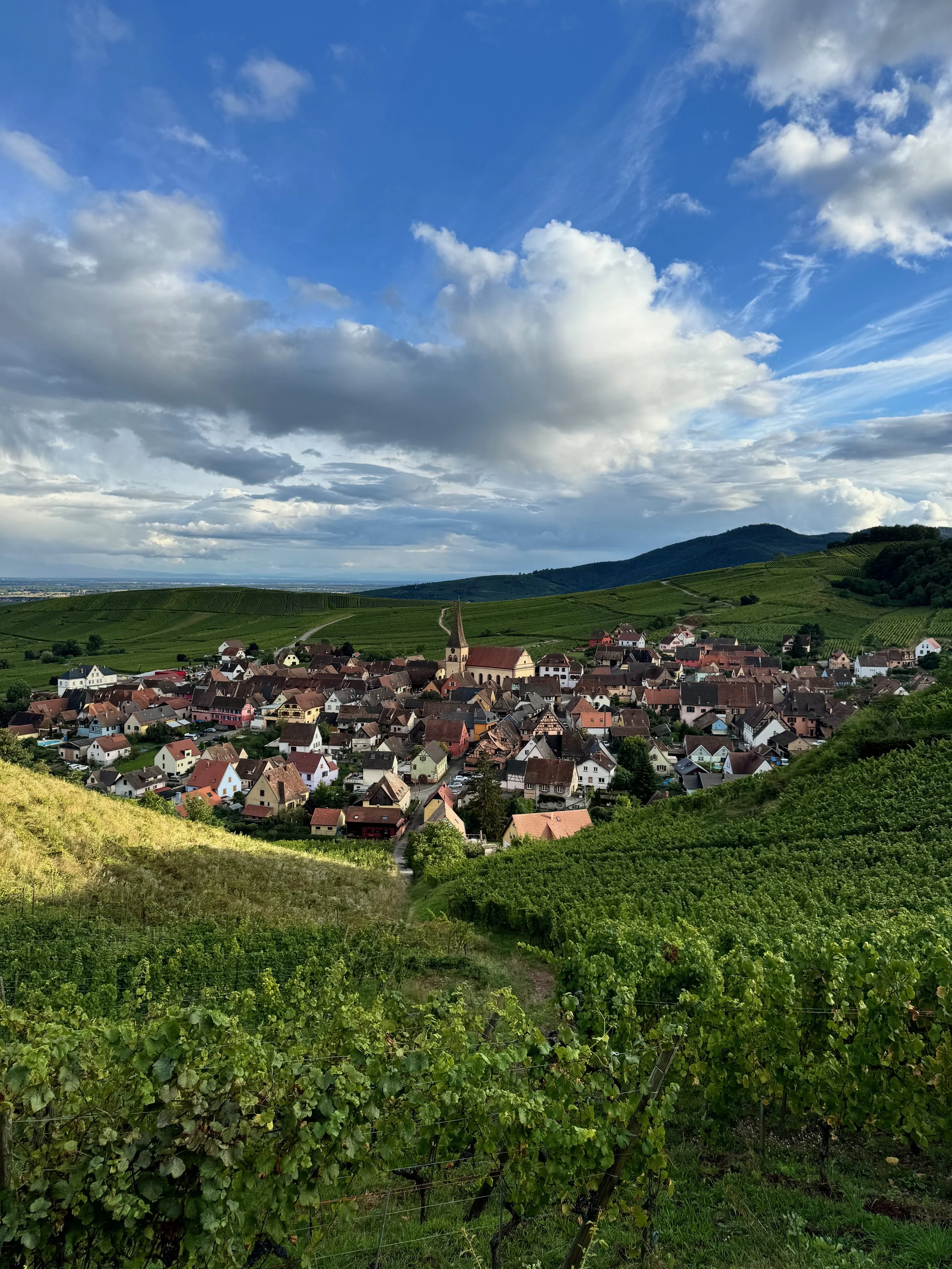 albert-boxler-niedermorschwihr.jpeg