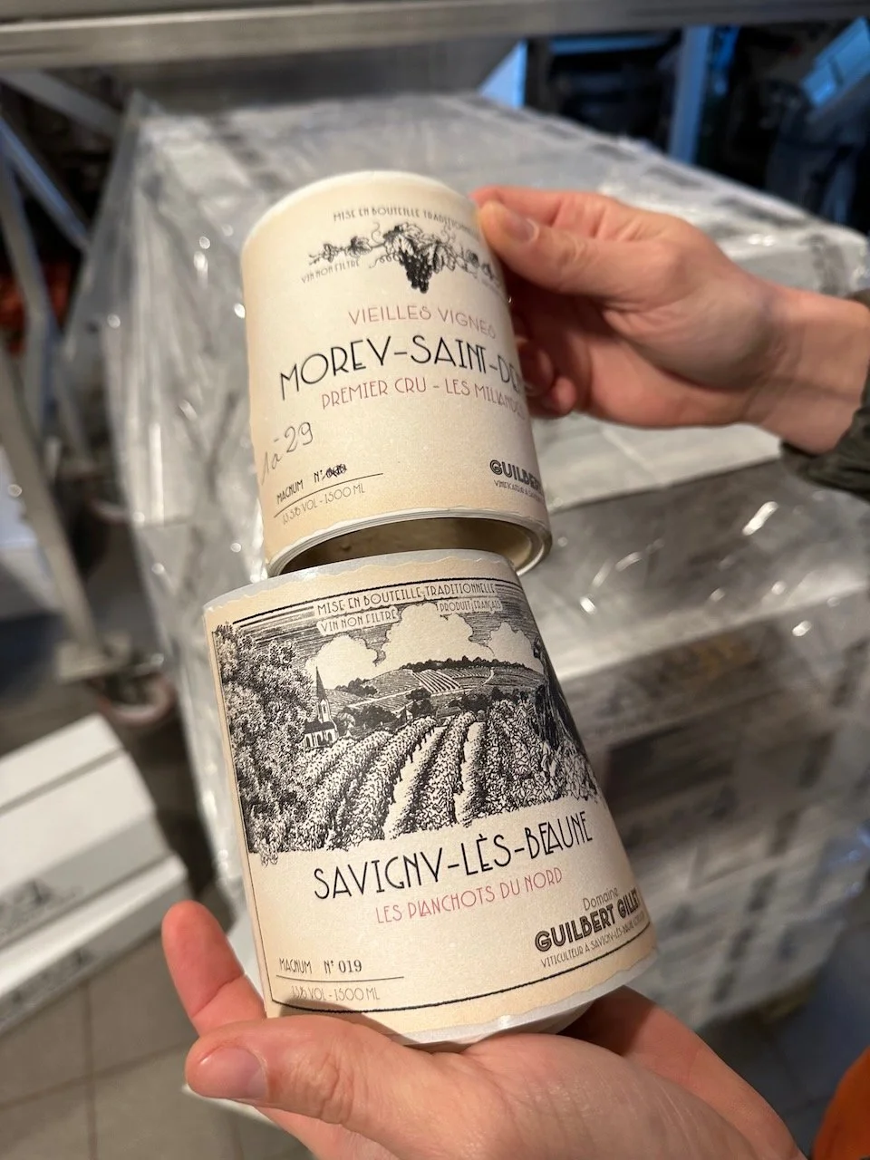 Guilbert-Gillet-Savigny-les-beaune-07.jpeg