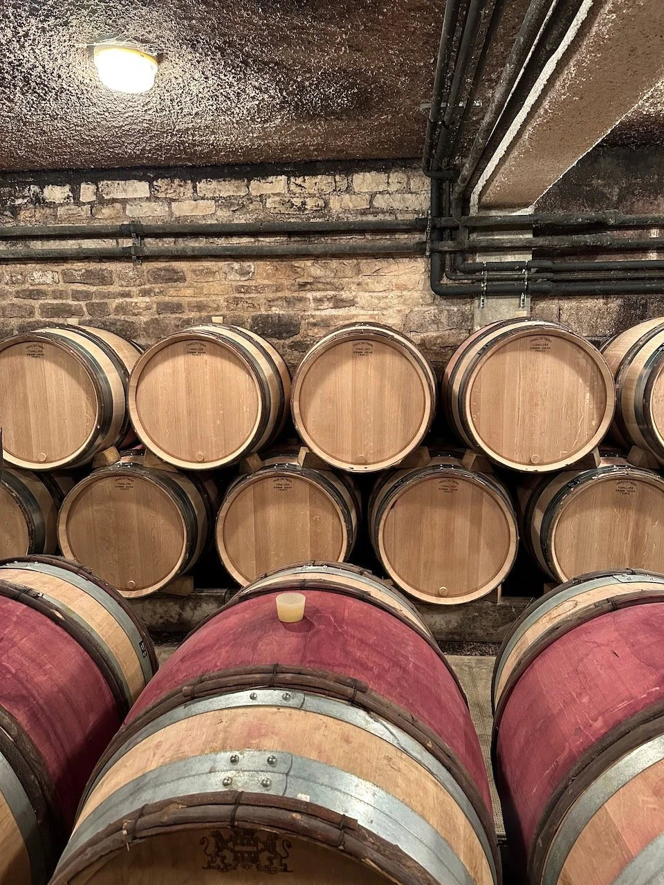 Guilbert-Gillet-Savigny-les-beaune-03.jpeg
