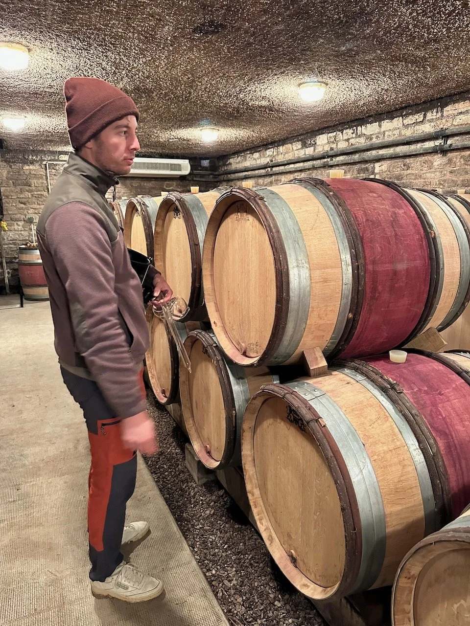 Guilbert-Gillet-Savigny-les-beaune-05.jpeg