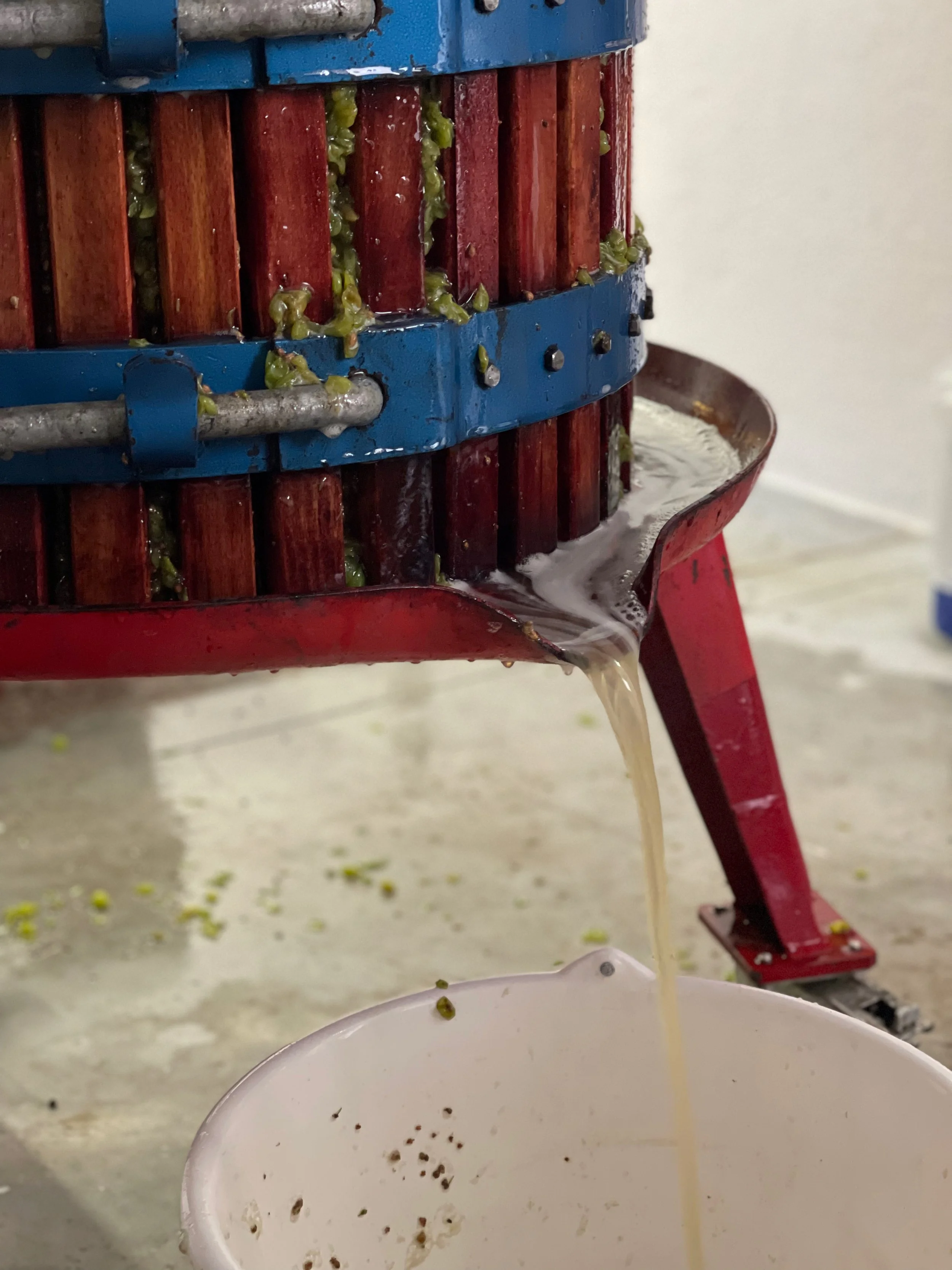 William-Kelley-juice.jpeg