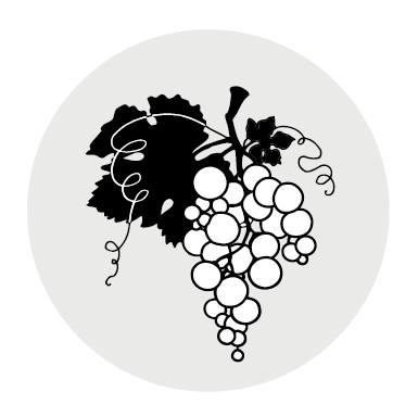 InTheVineyard.png