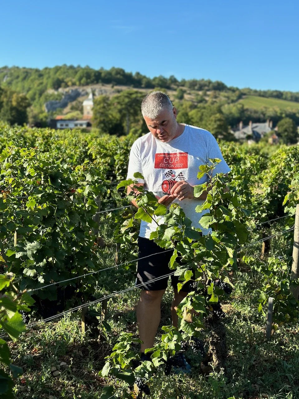 domaine_felettig_gilbert_vineyards.jpeg
