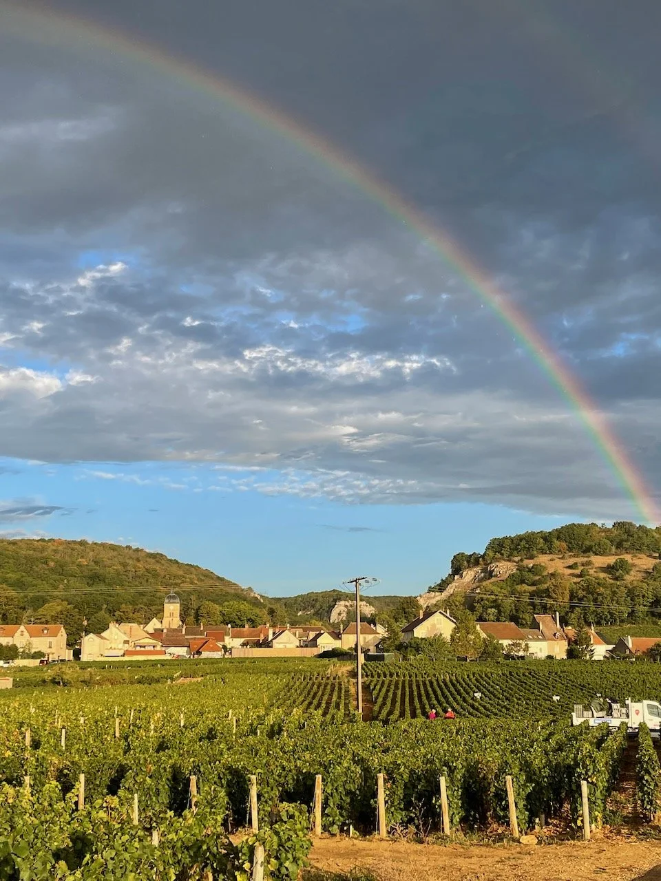 domaine_felettig_gilbert_pauline.jpeg
