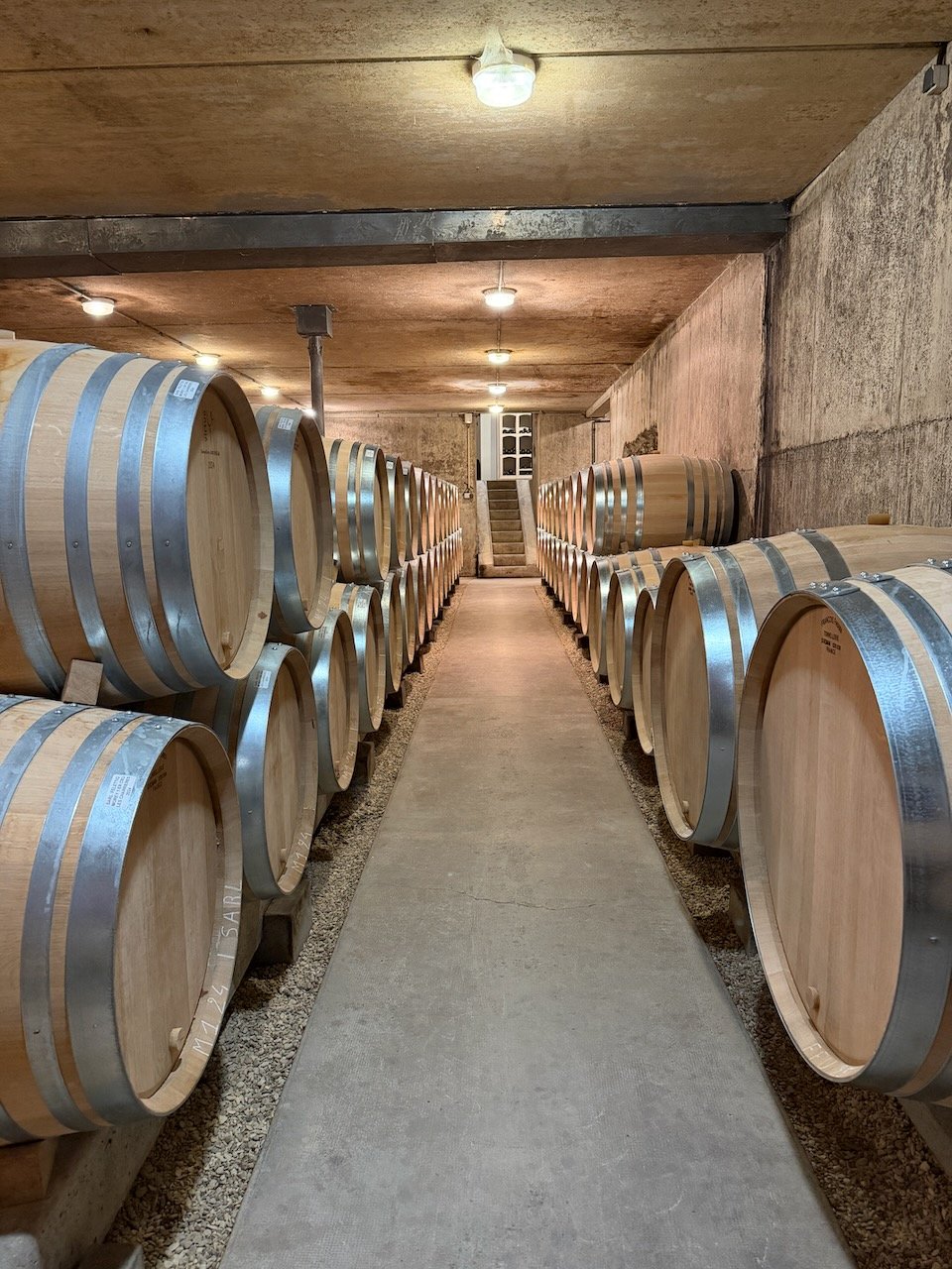 domaine_felettig_wine_cellars.jpeg
