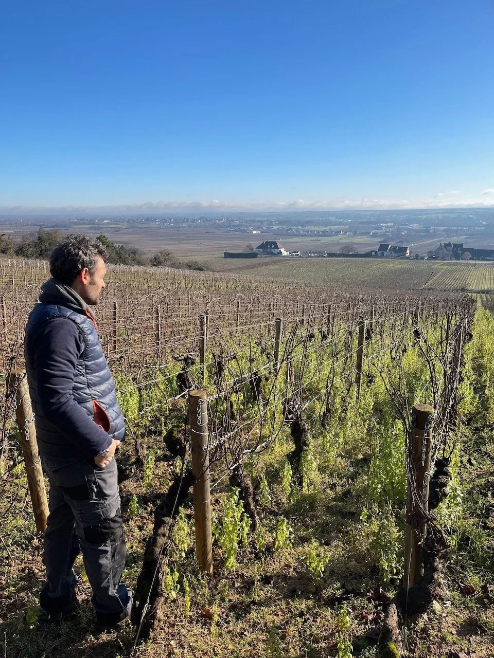 benoit-moreau-chassagne-03.jpeg