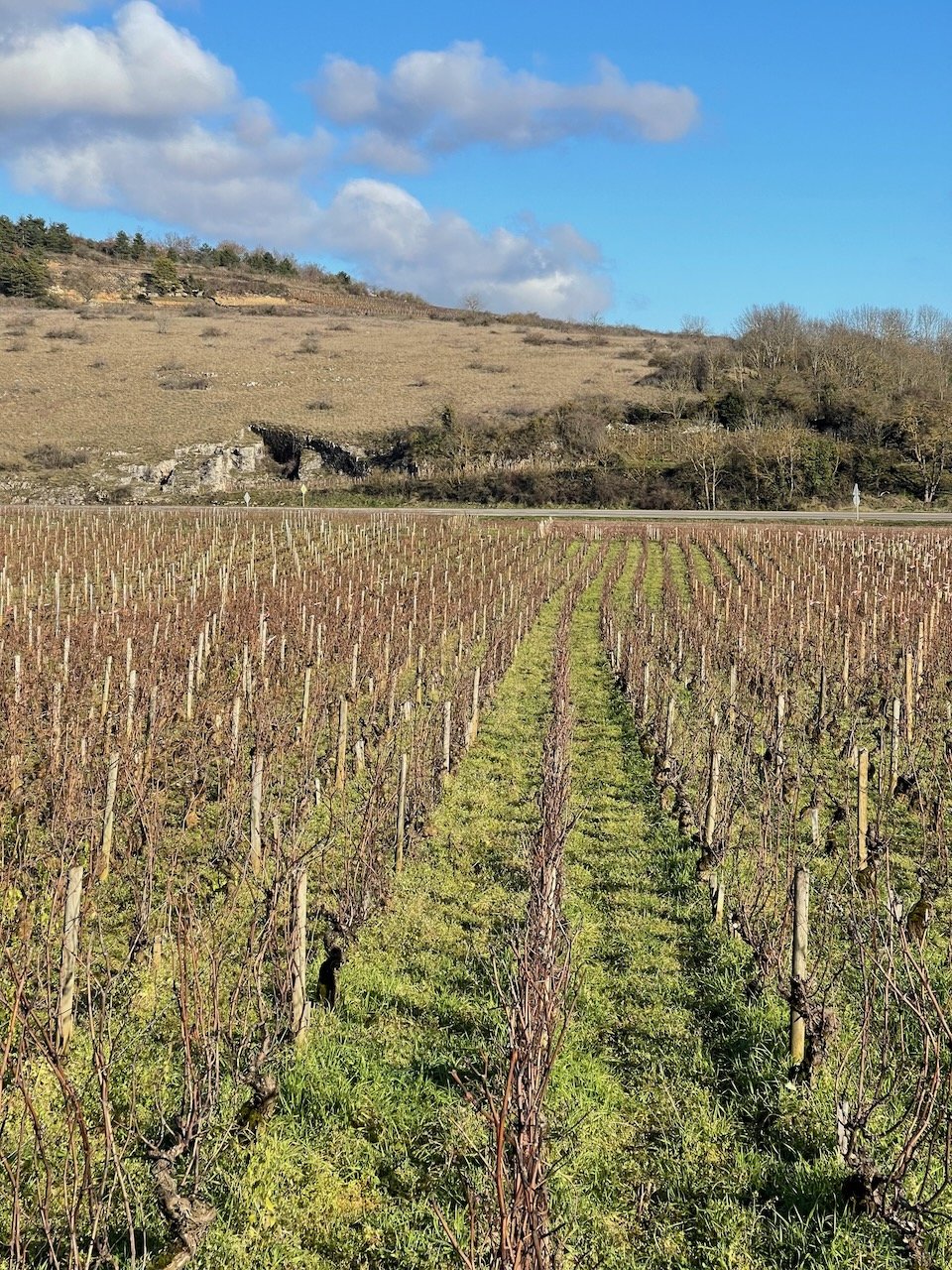 benoit-moreau-chassagne-06.jpeg