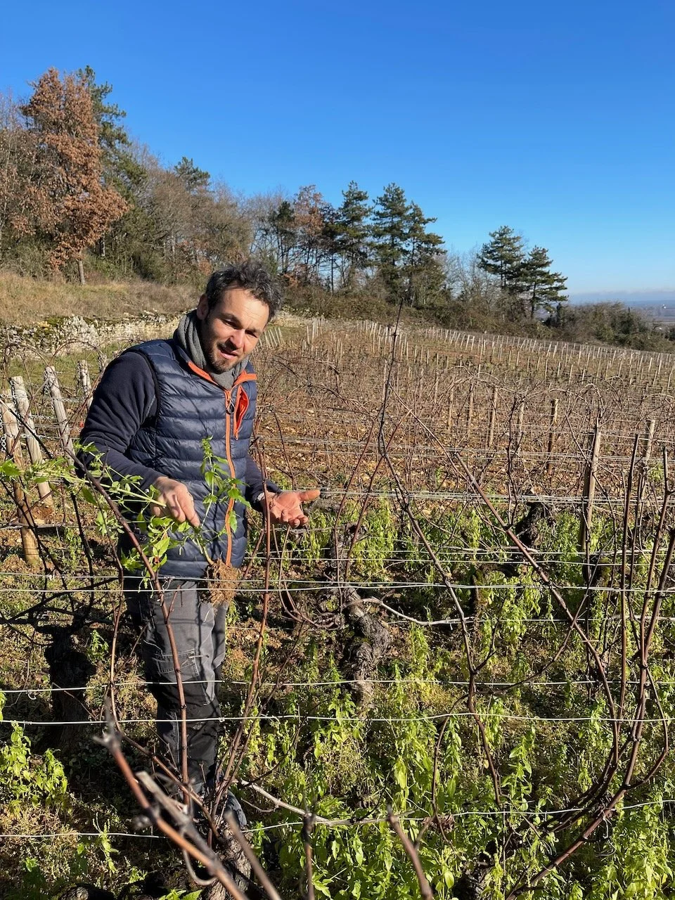 benoit-moreau-chassagne-02.jpeg