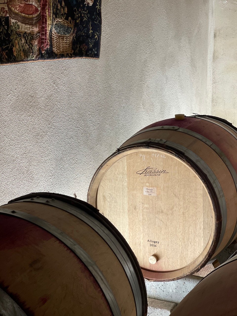 cecile-tremblay-souveraine-wine-2.jpeg