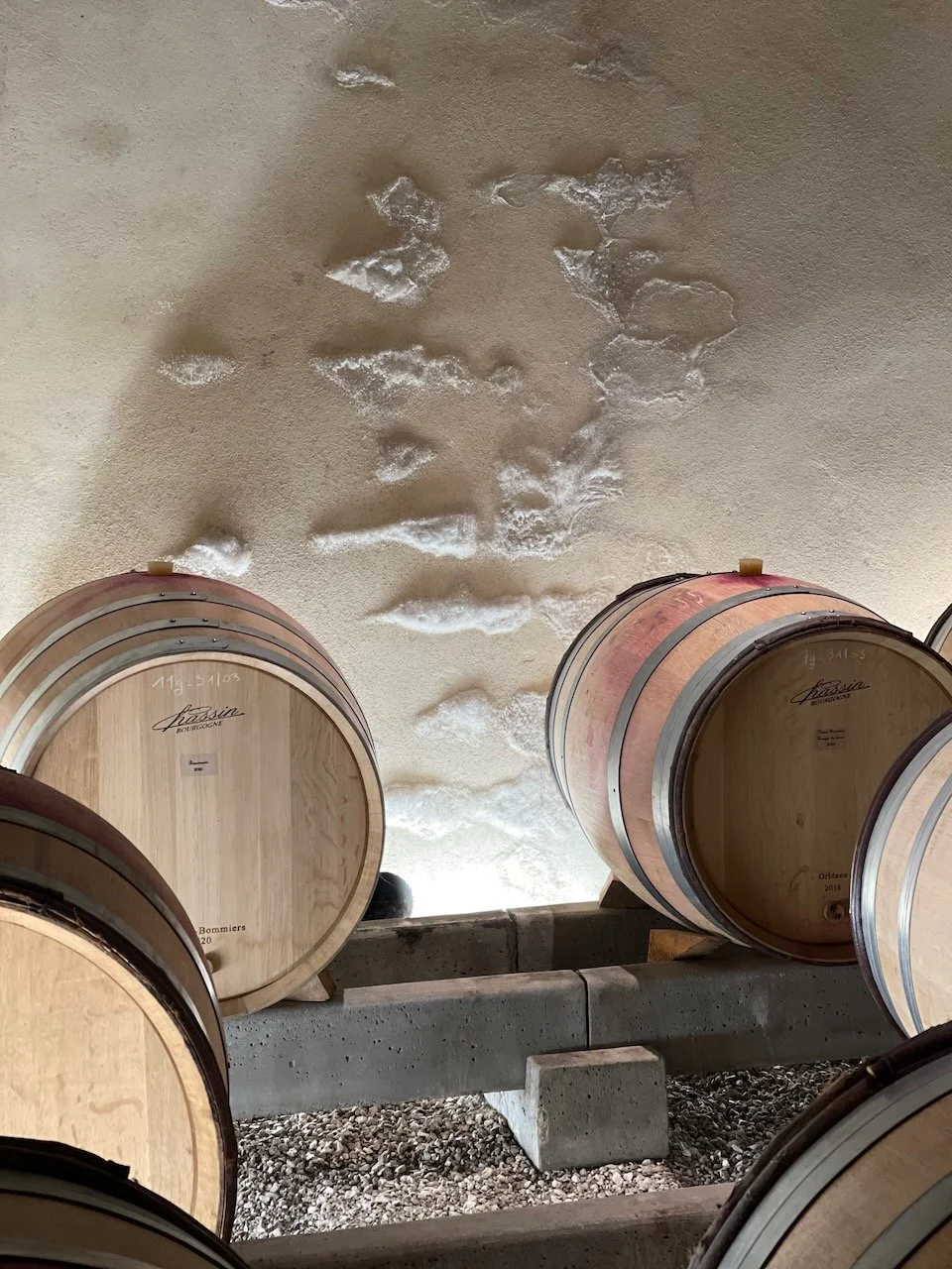 cecile-tremblay-souveraine-wine-3.jpeg