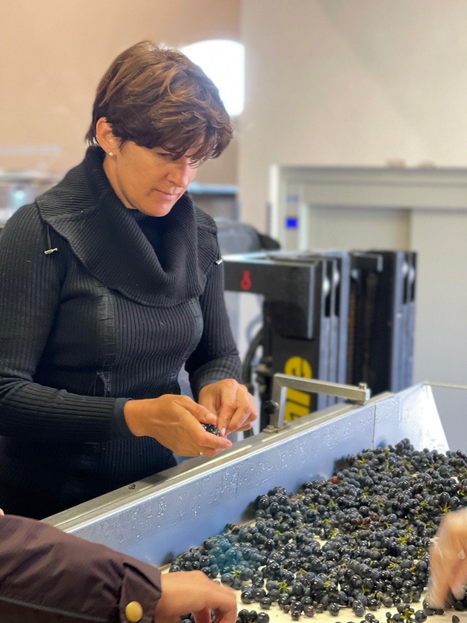 cecile-tremblay-souveraine-wine-4.jpeg