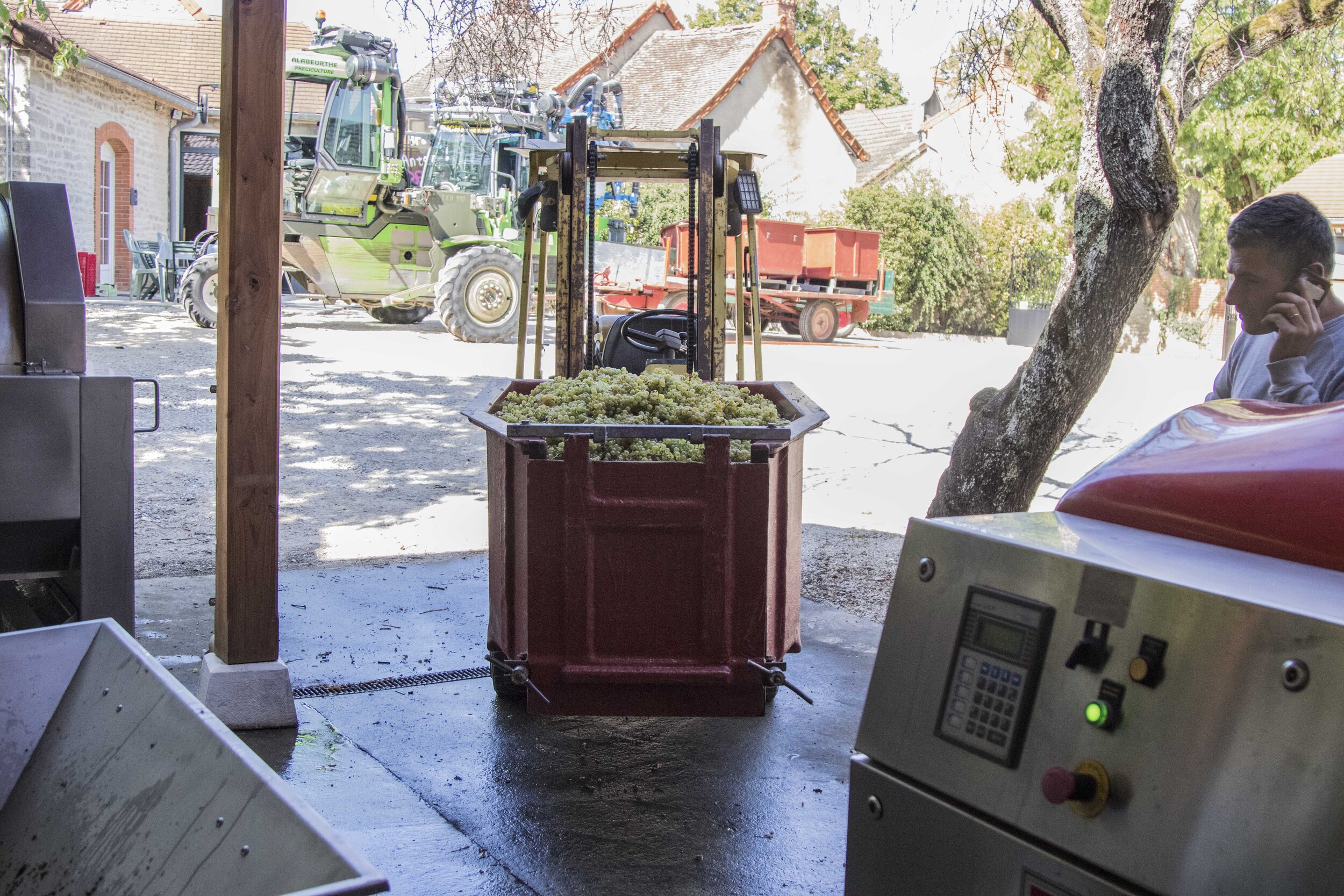 Harvest19_DureuilJanthial_1694.jpg