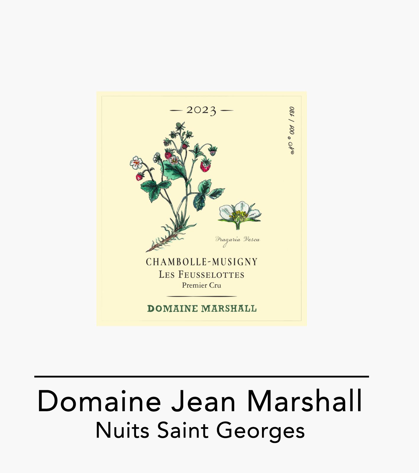 profil-website-jean-marshall.jpg