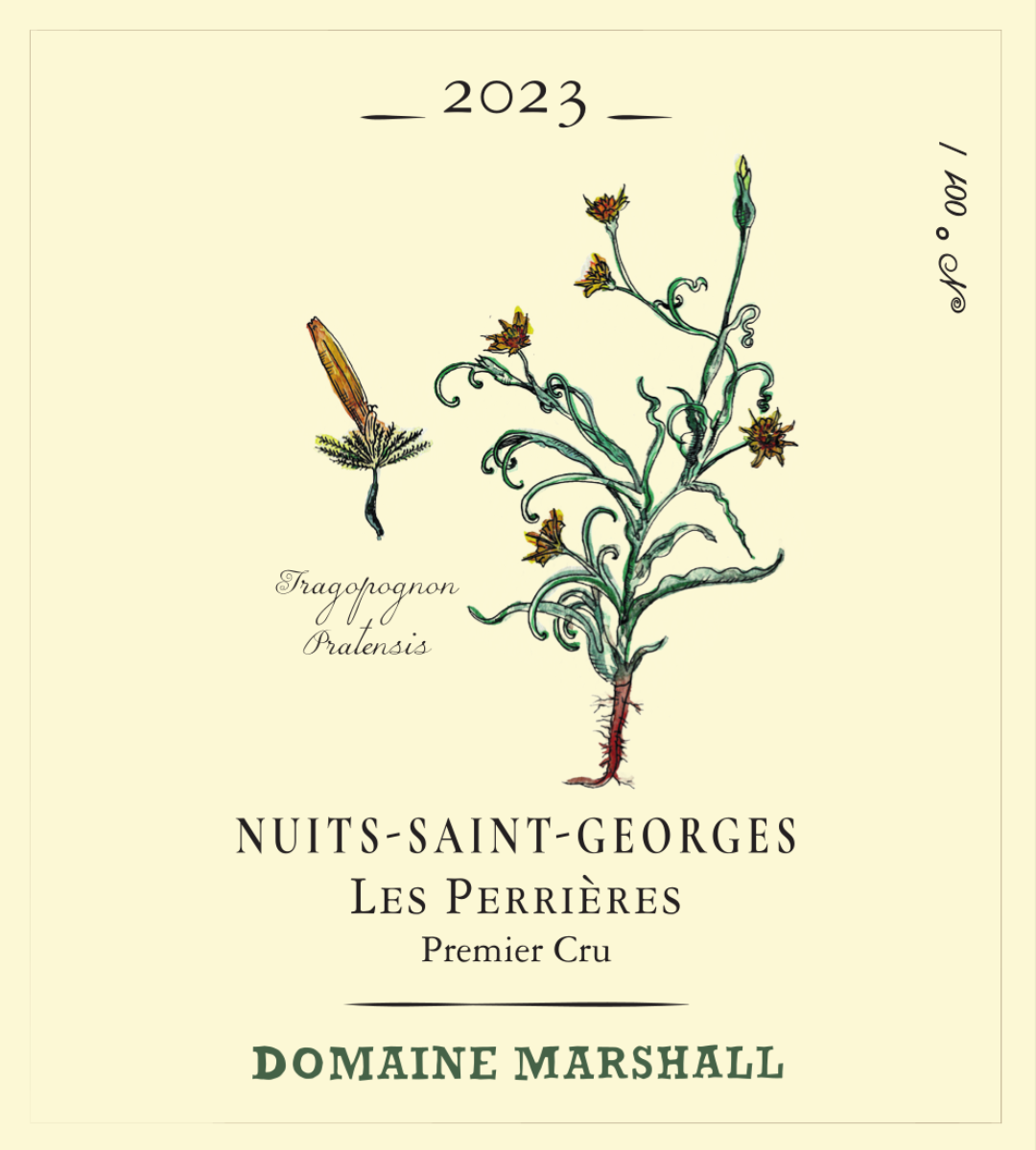 domaine_marshall__nuits_saint_georges_les_perrieres.png