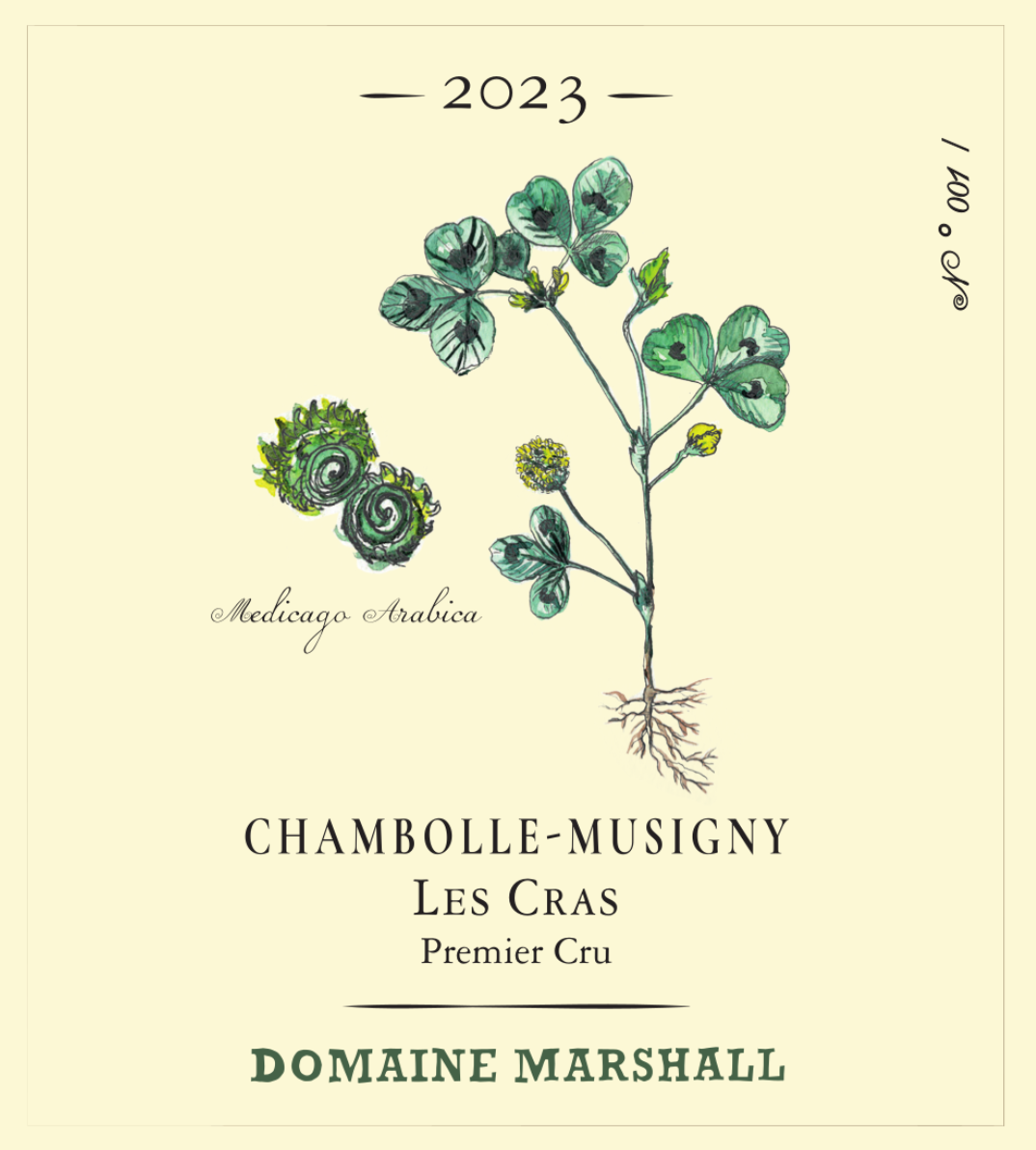 domaine_marshall__chambolle_musigny_les_cras.png