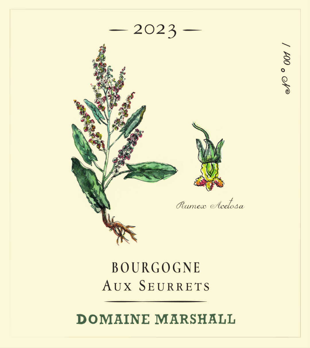 domaine_marshall__bourgogne_aux_seurrets.png
