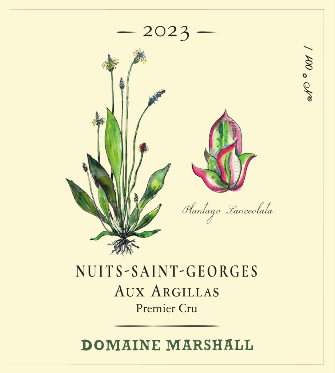 domaine_marshall__nuits_saint_georges_aux_argillas.png