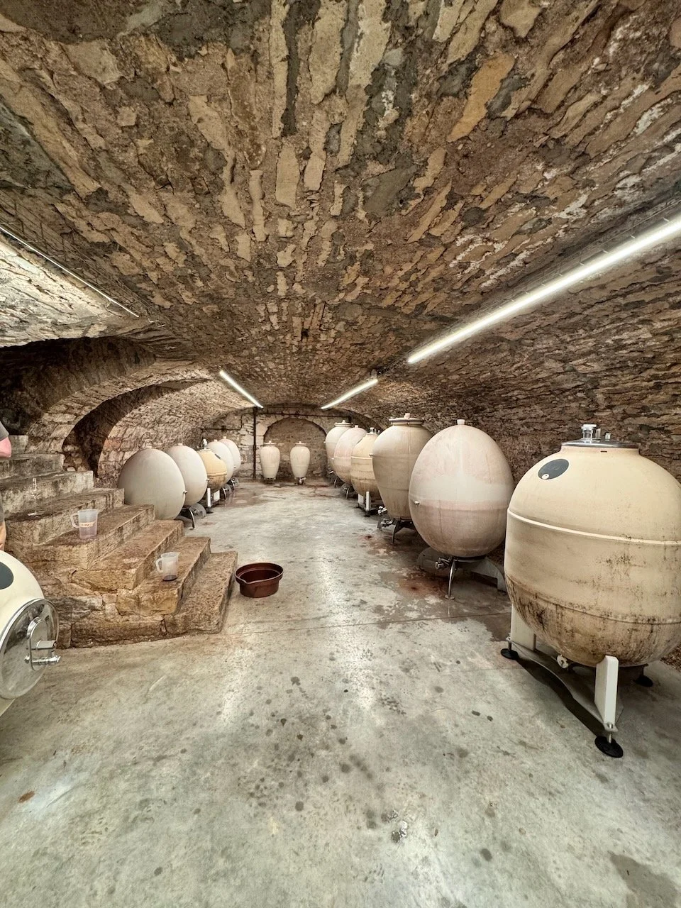 marshall-souverainewine-nuits-saint-georges.jpeg