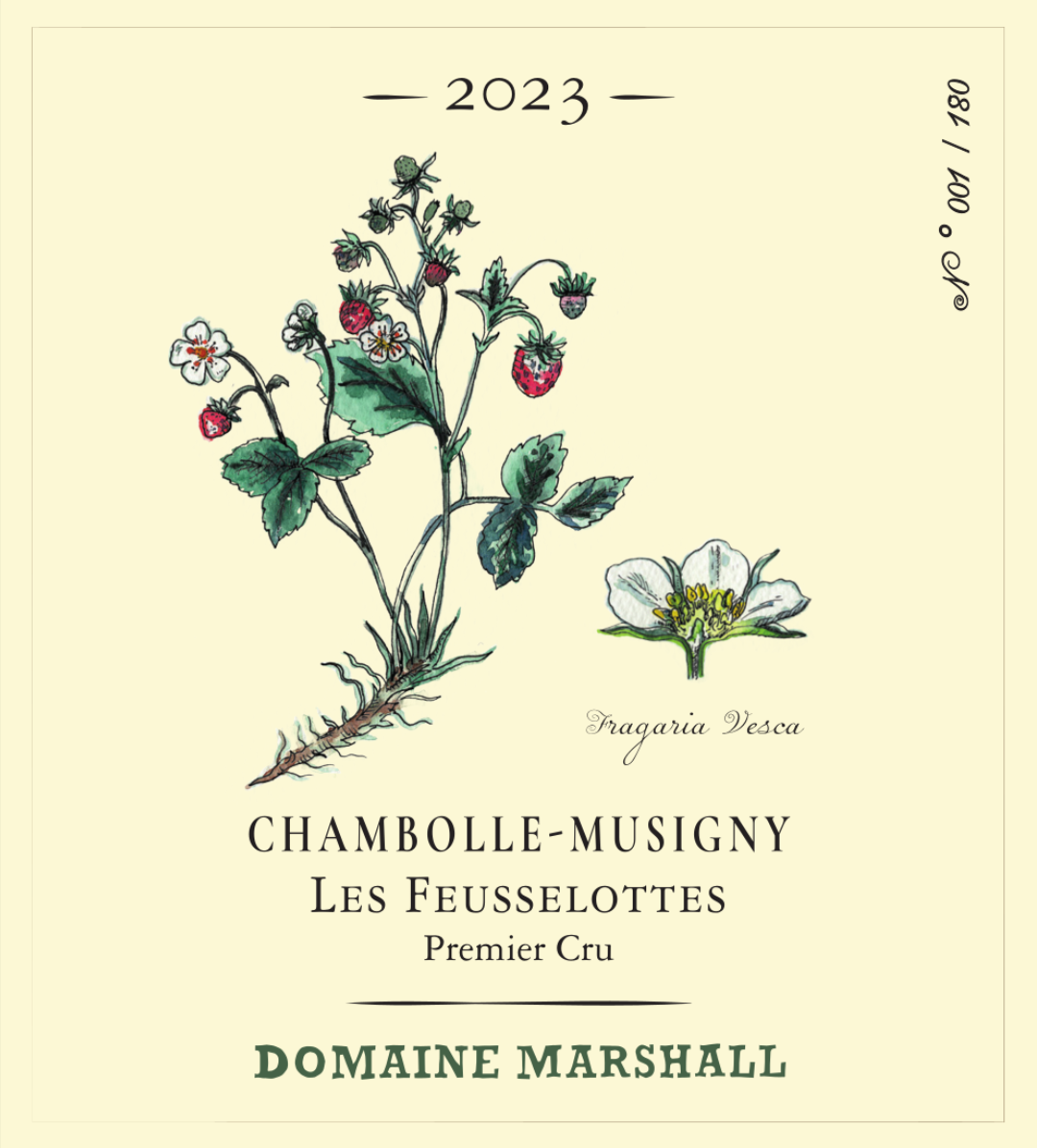 domaine_marshall__chambolle_musigny_les_feusselottes.png