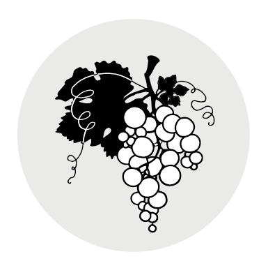 InTheVineyard.png
