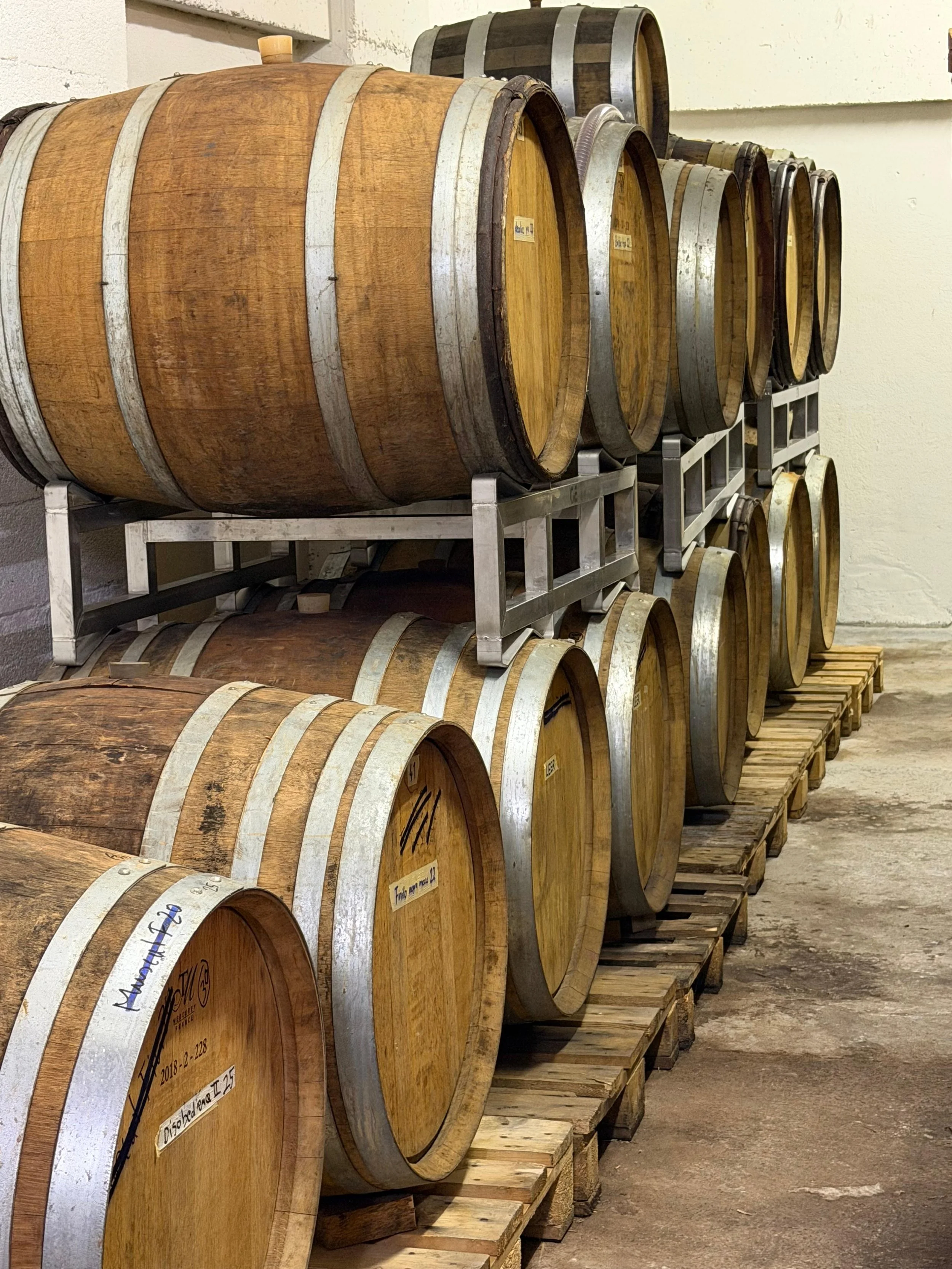 mythopia_wine_cellar.jpeg