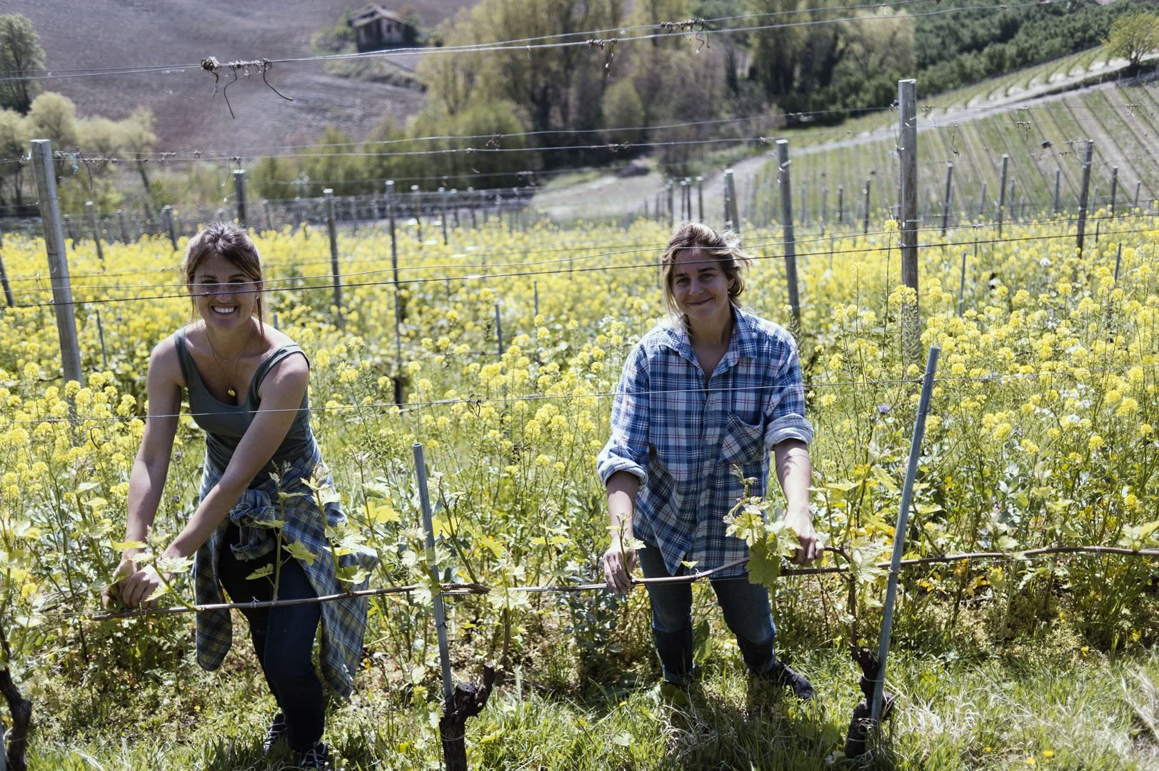 Azienda_Lalu_lara_luisa5.jpg