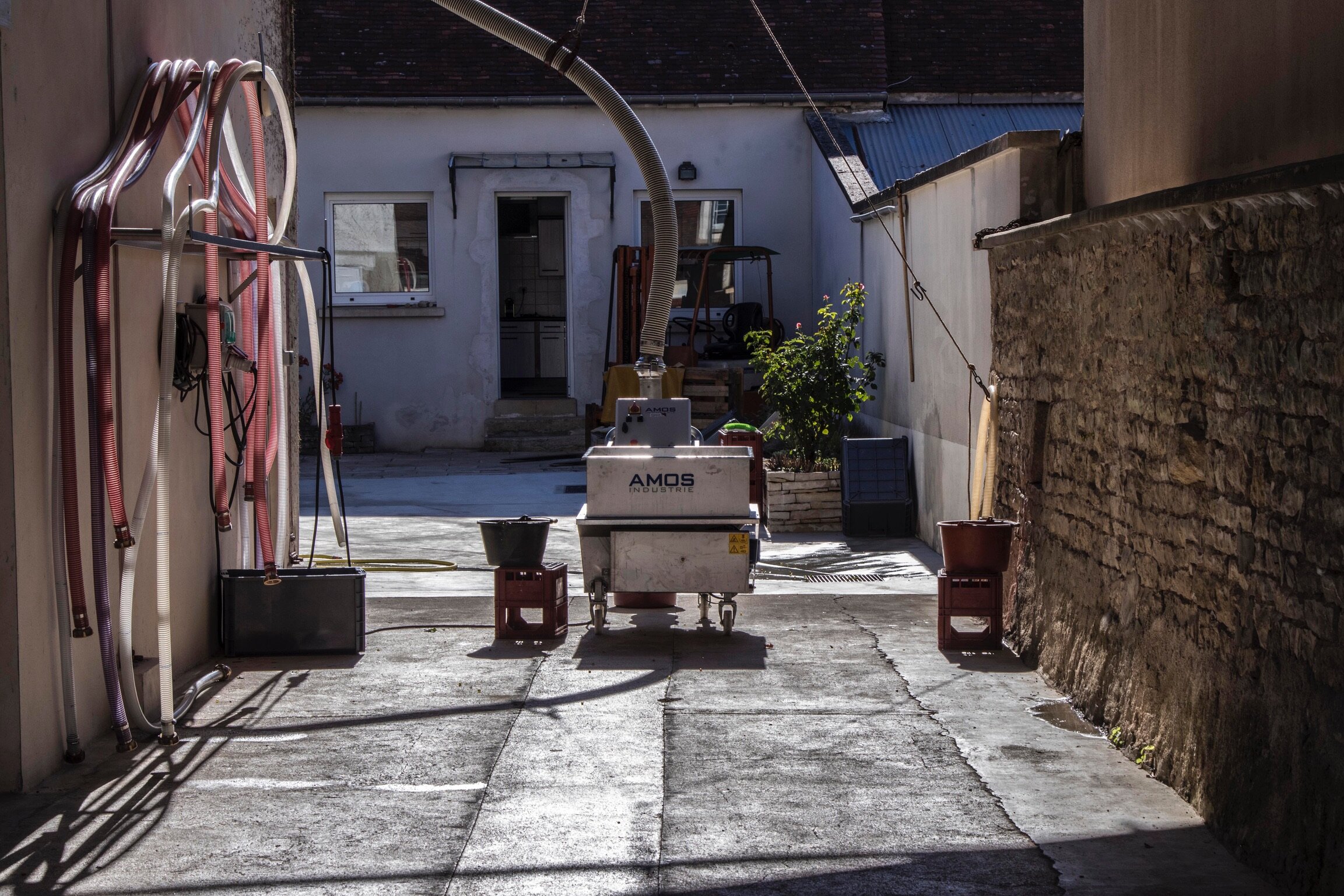 Raveneau_0052.JPG