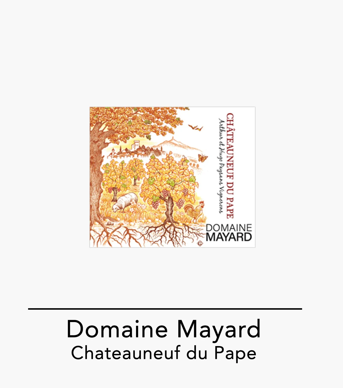 profil-website--mayard-chateauneuf-du-pape.jpg
