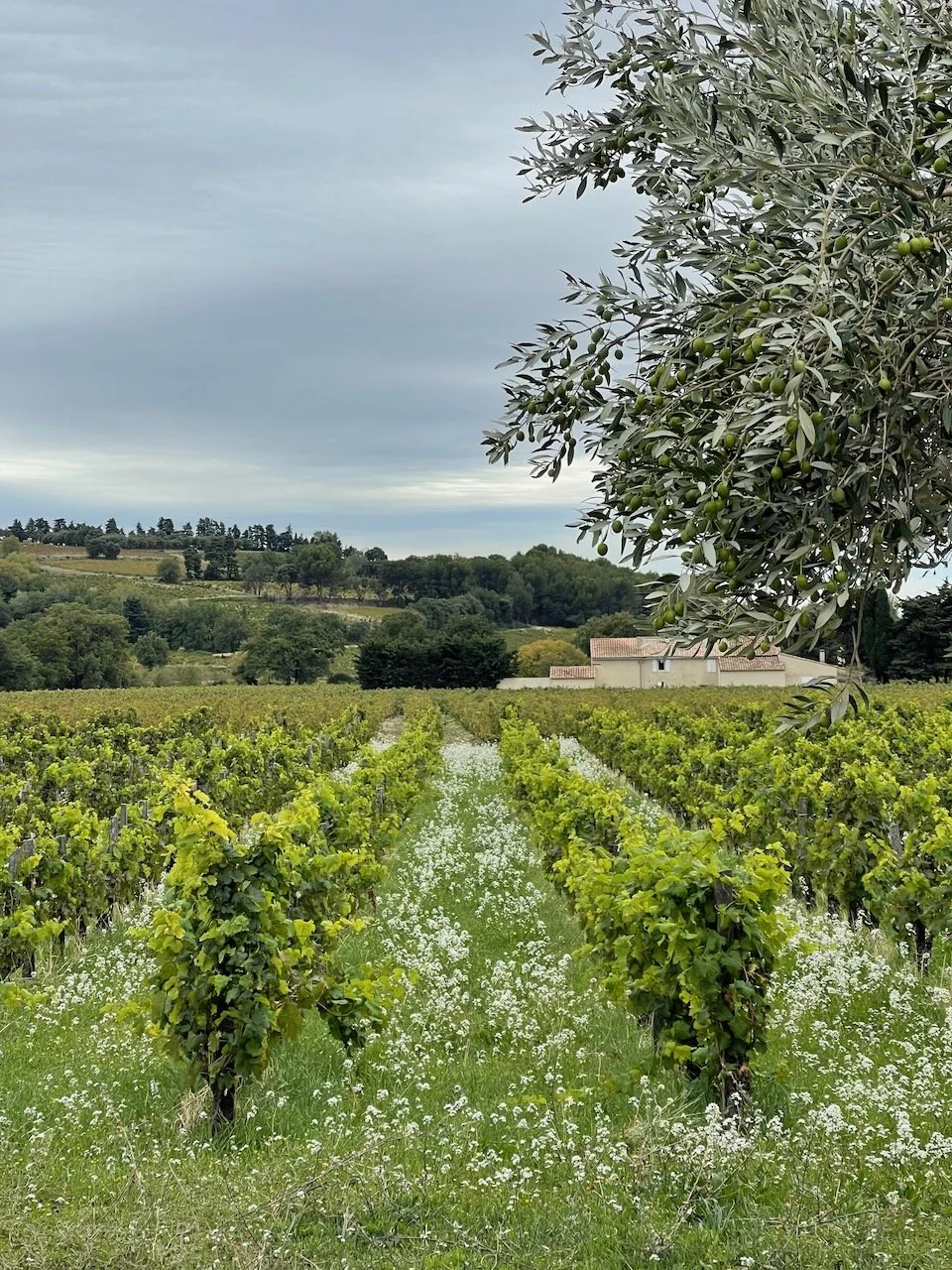 gour-de-mautens-jerome-bessy-04.jpeg