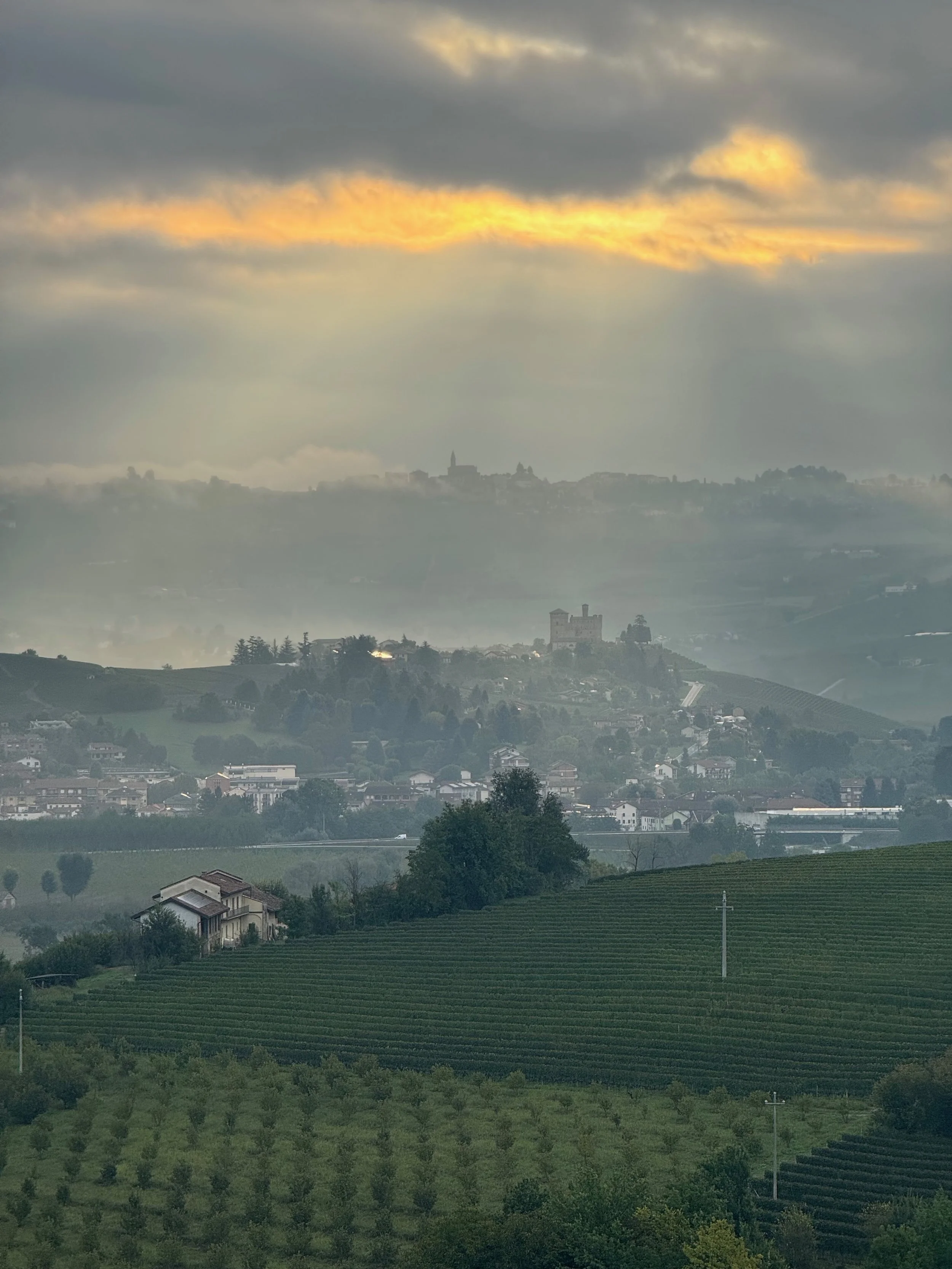 barolo-landscape-souverainewine.jpeg