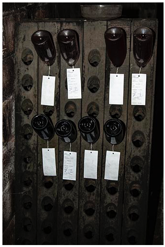Collin_Cellar.png