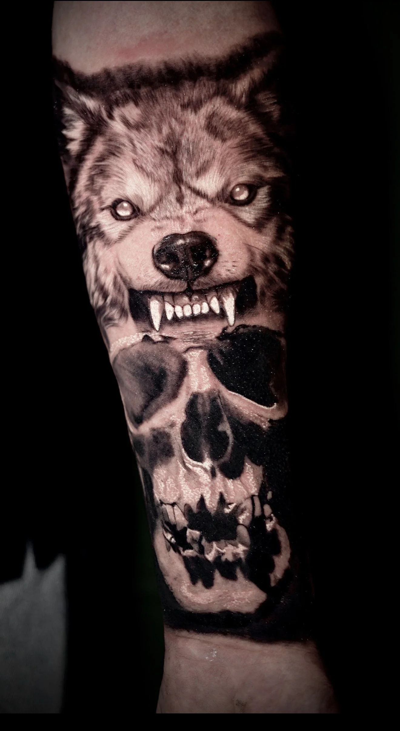 Black and grey realism wolf and skull.