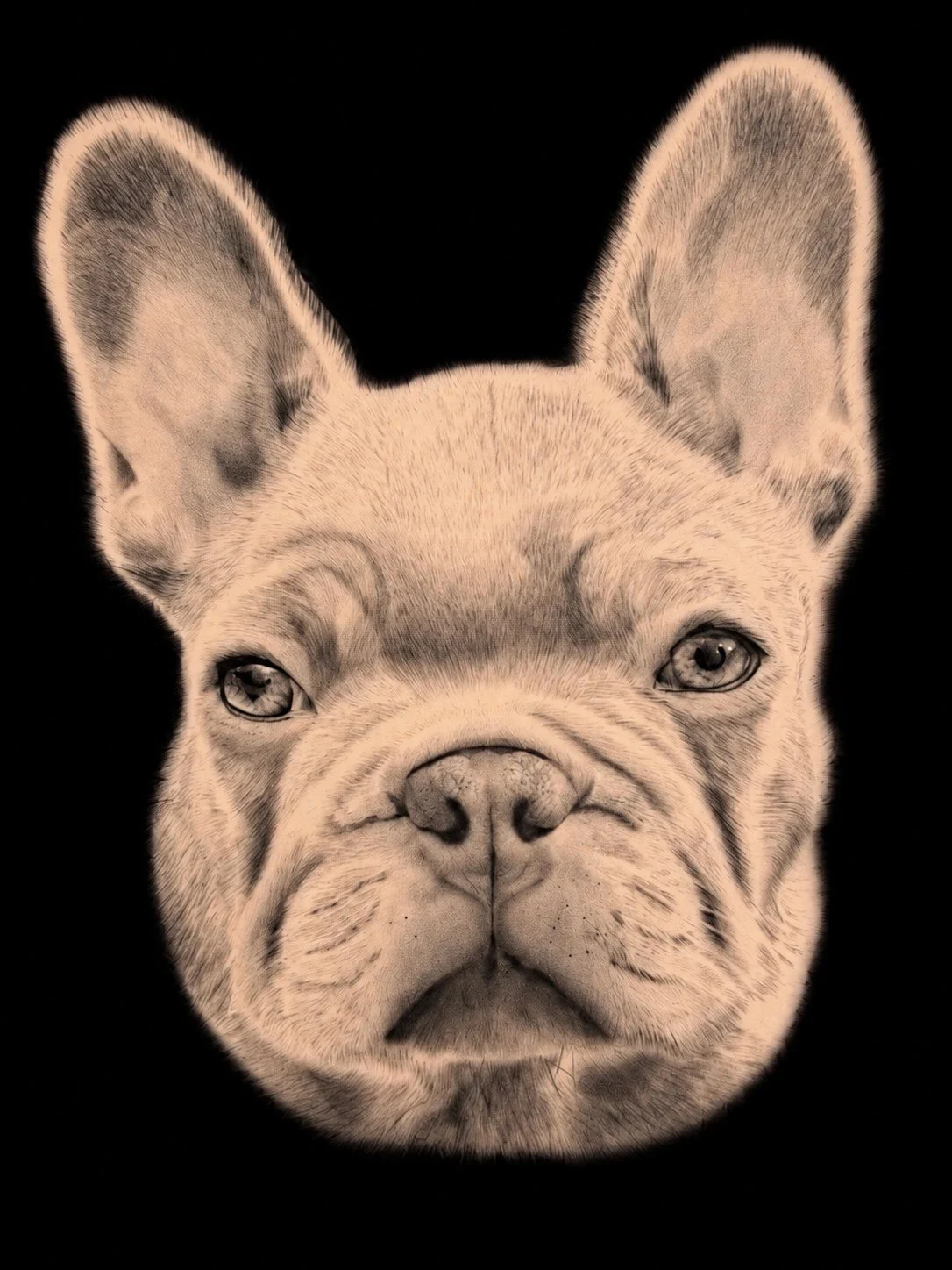 Paco, black and grey realism portrait.