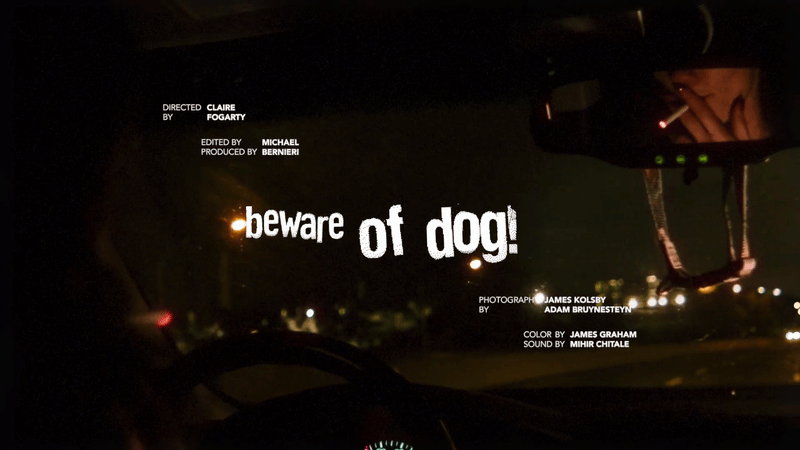 Beware of Dog