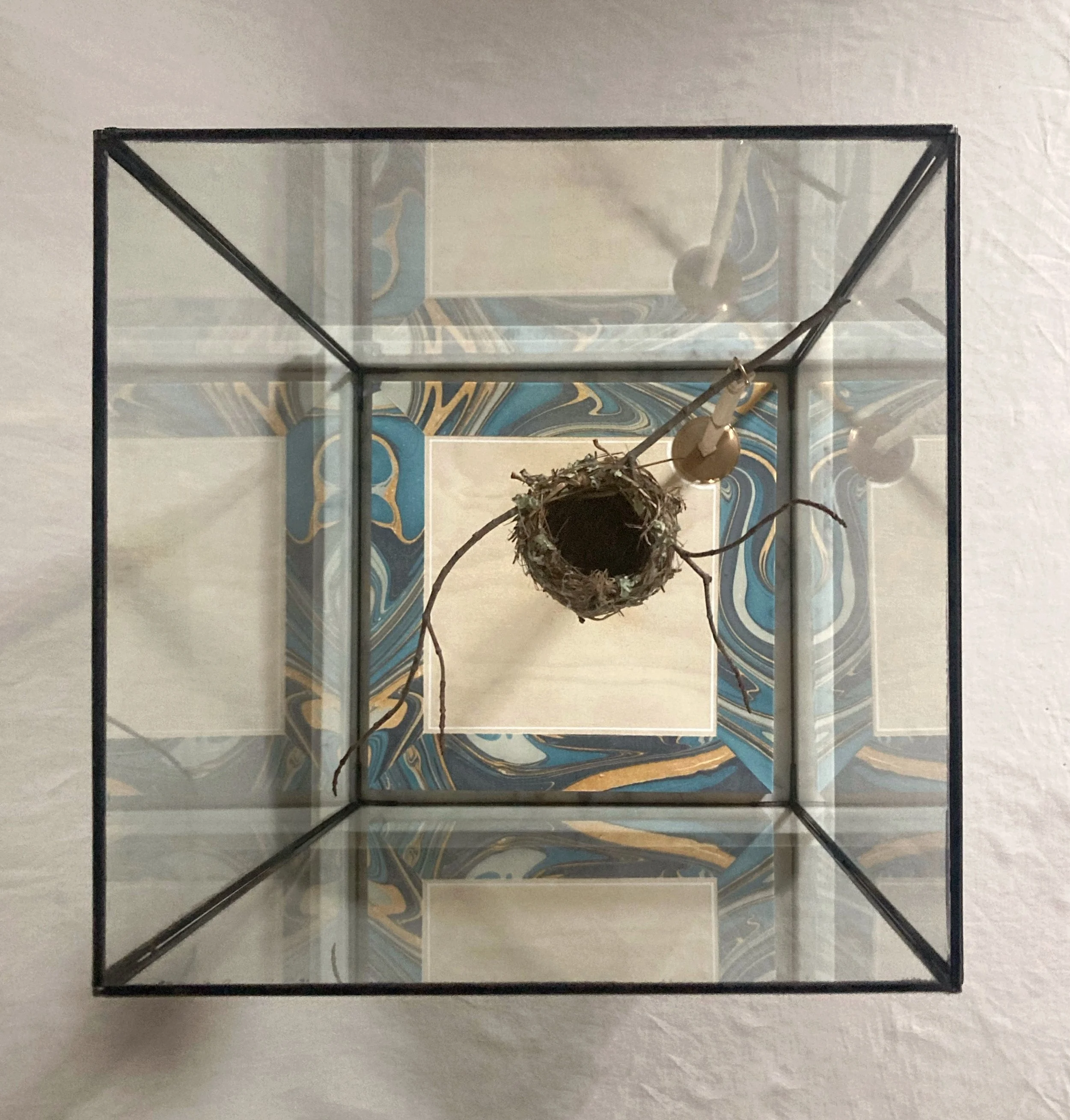 Glass display case containing a bird’s nest with a small bird figurine and abstract blue artwork