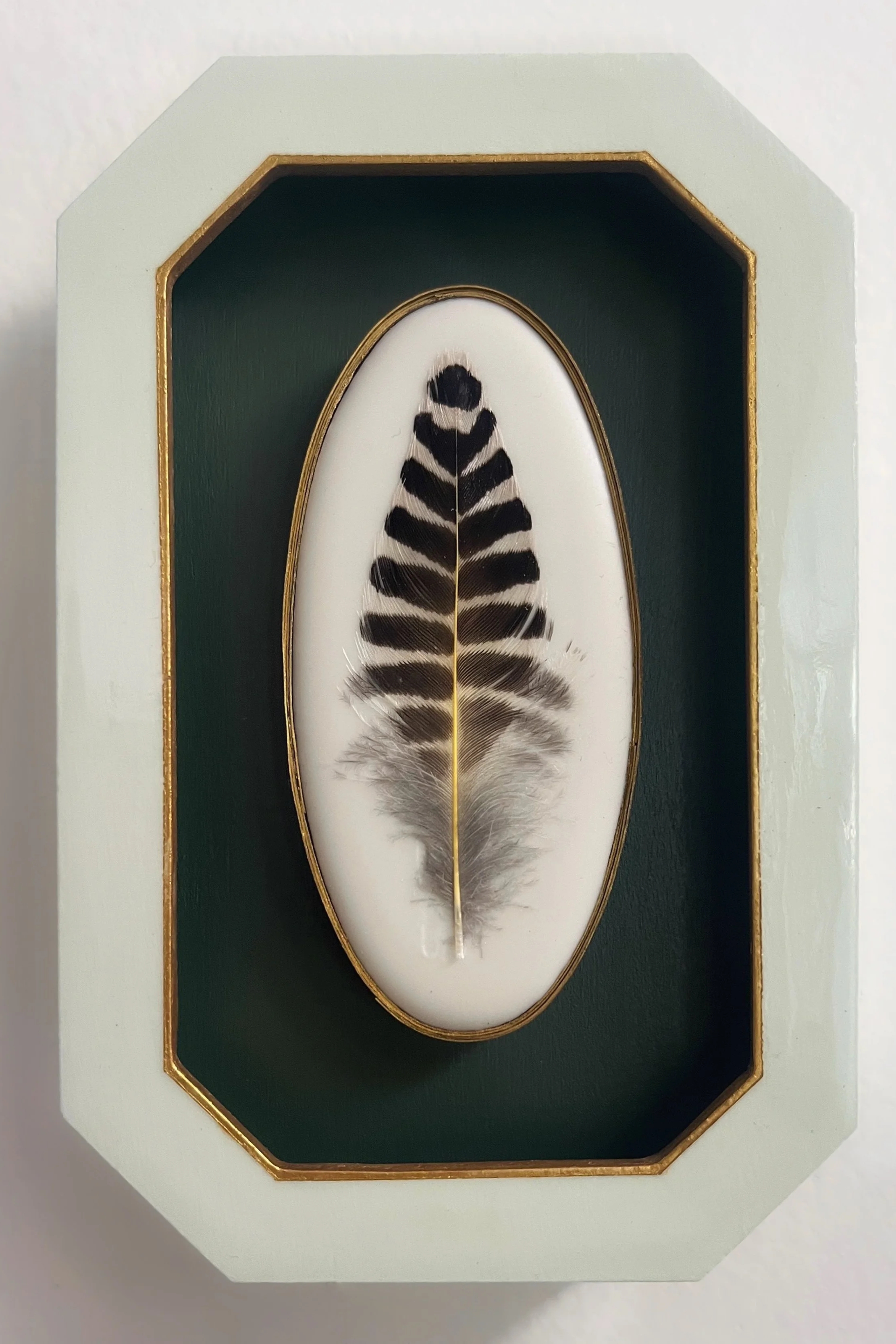 Framed black-and-white bird feather displayed on a dark green octagonal background with gold trim