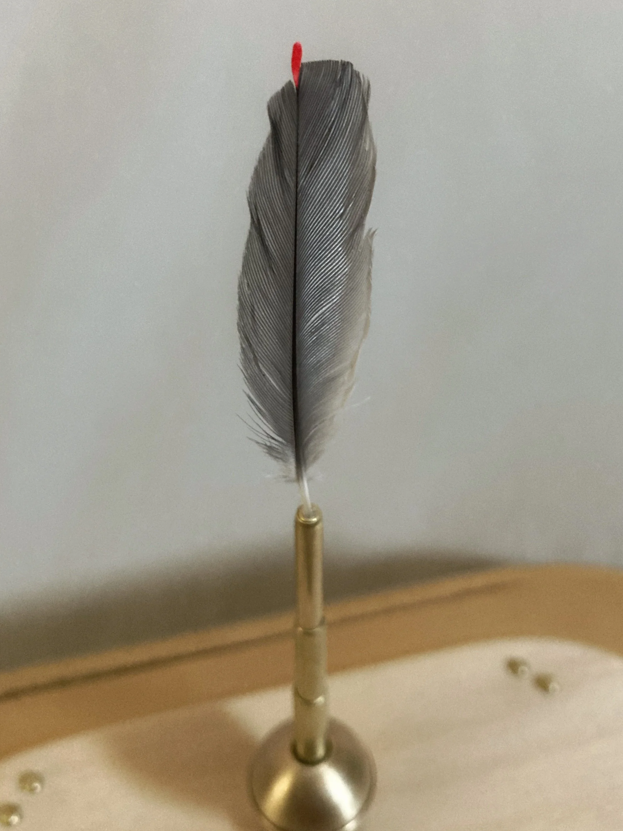 Gray feather quill with a red-tipped top and brass handle in an ink well
