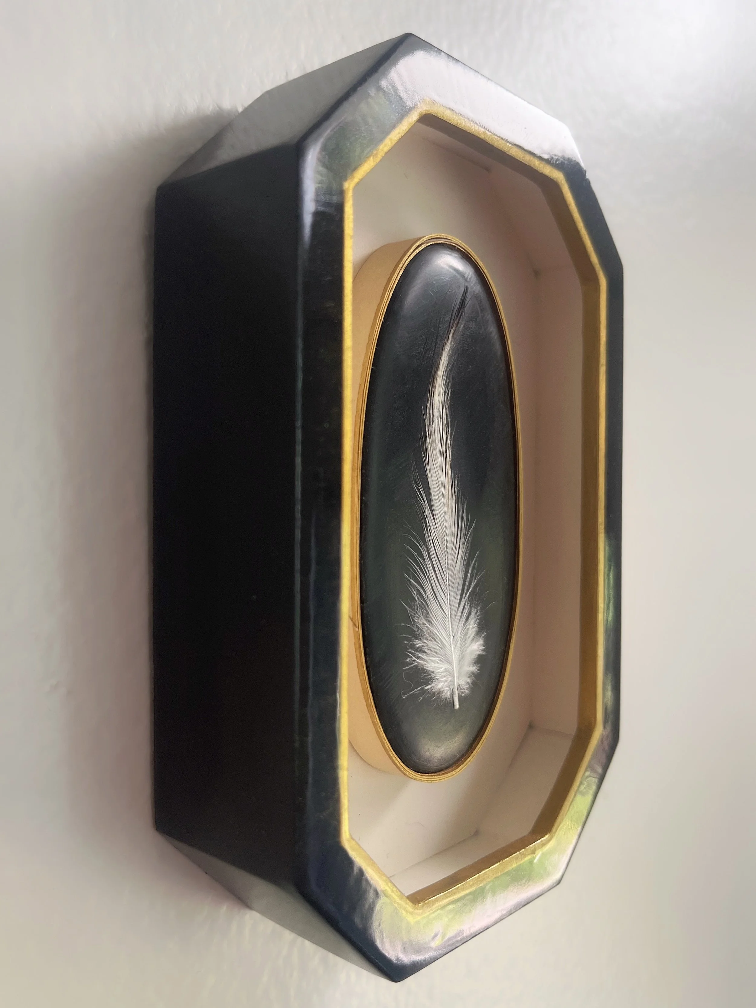 Framed white feather displayed in a black and gold shadow box.