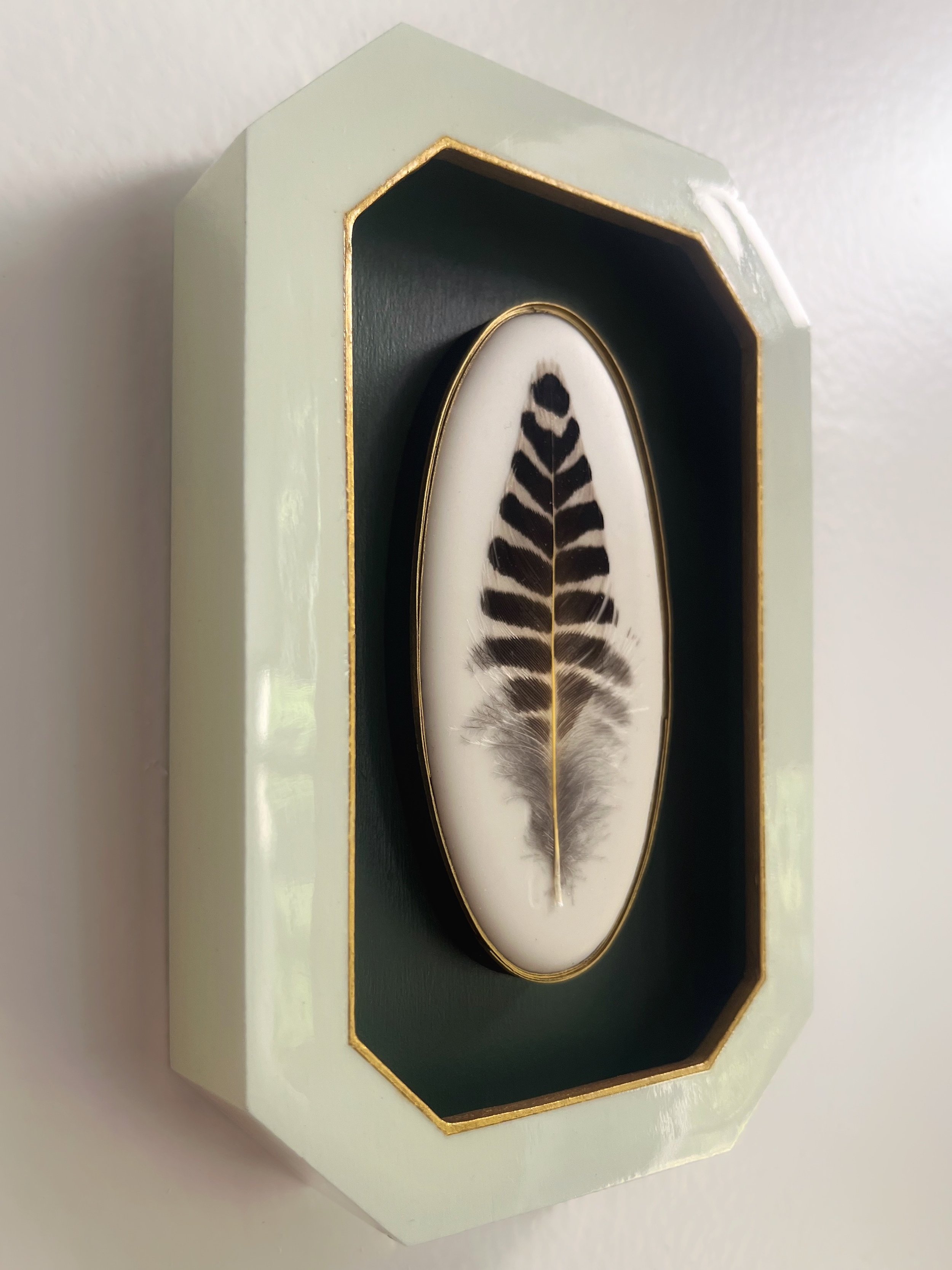 Framed black-and-white feather specimen displayed in a gold-trimmed octagonal shadow box