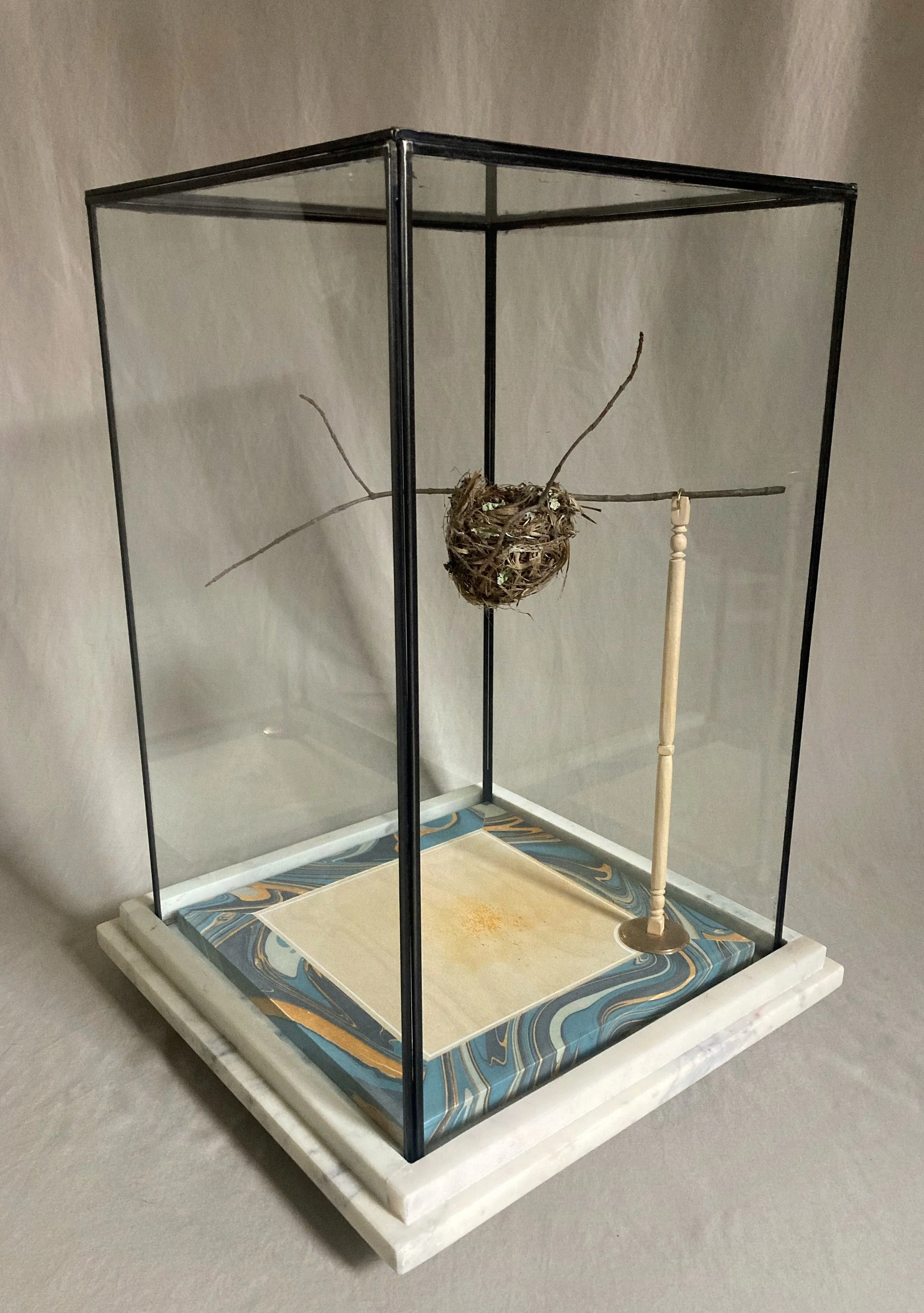 Glass display case containing a bird’s nest on branches, with a turned wooden support and blue marbled base.