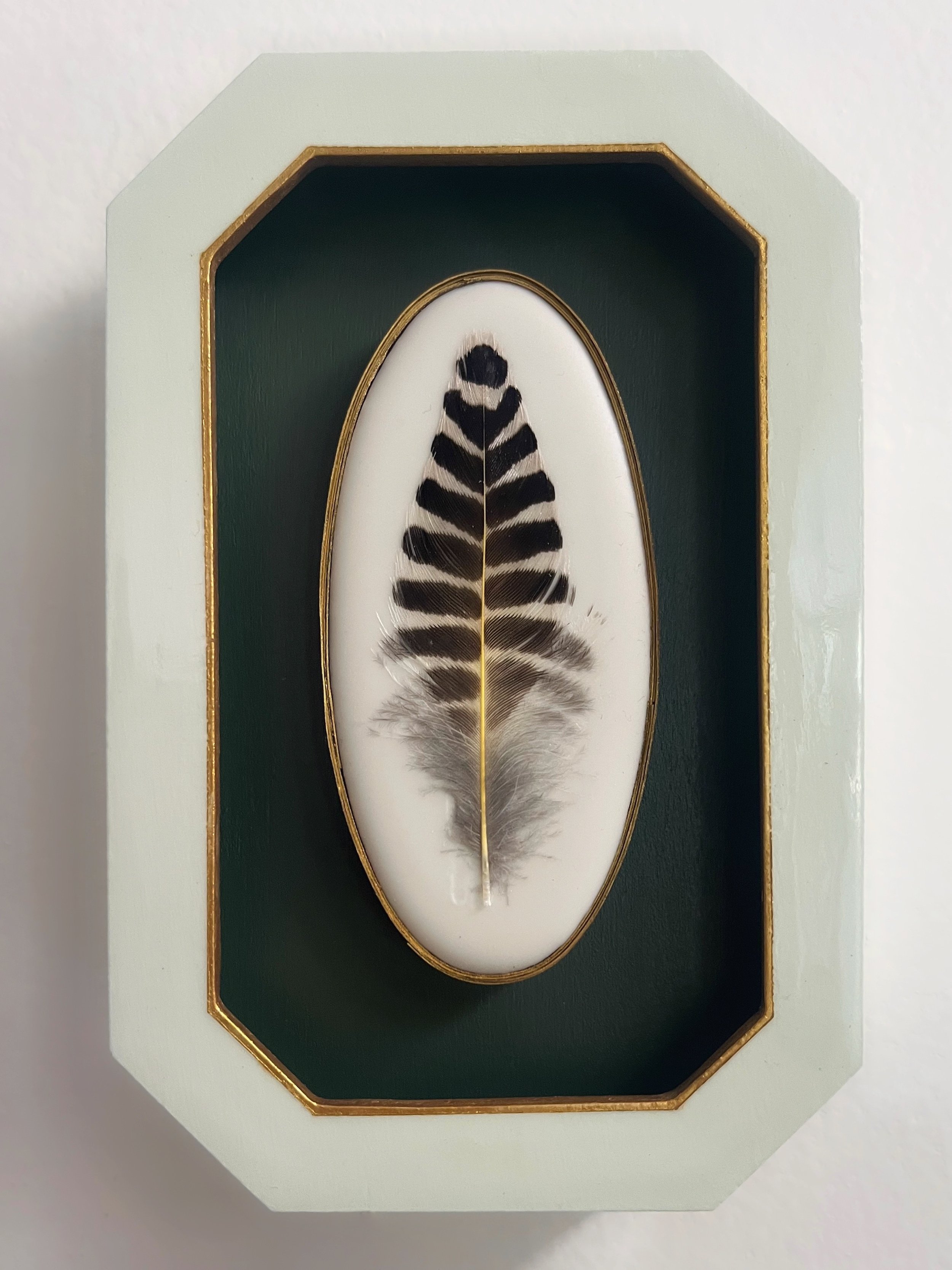 Framed black-and-white feather displayed against a dark green background with gold trim