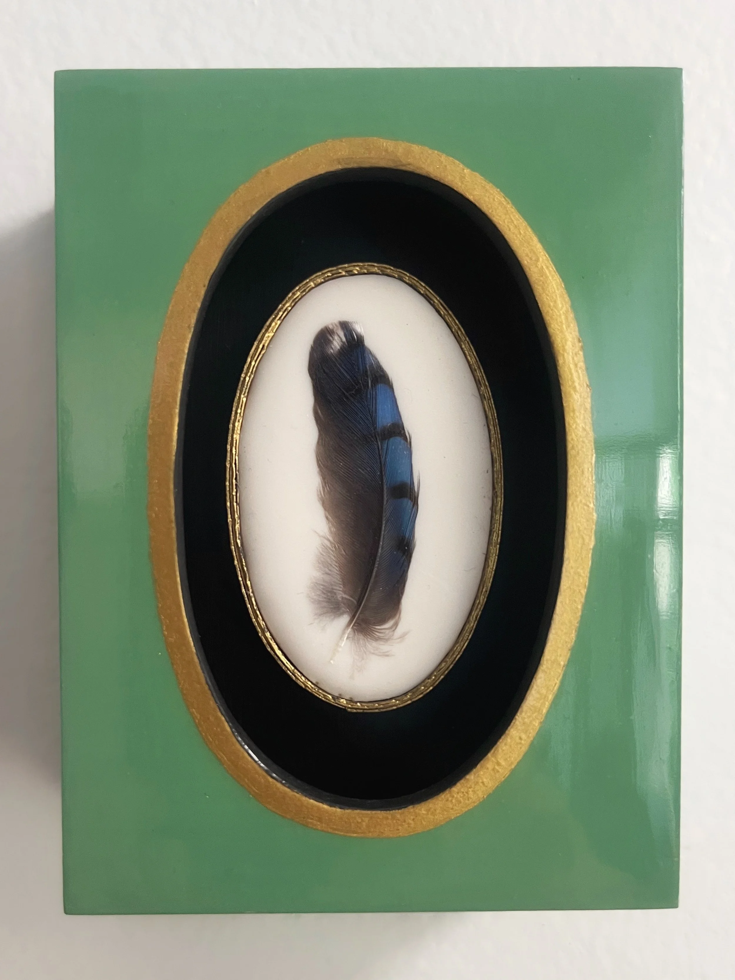 Framed blue feather specimen on a white oval background with black matting and a gold border, displayed on a green board.