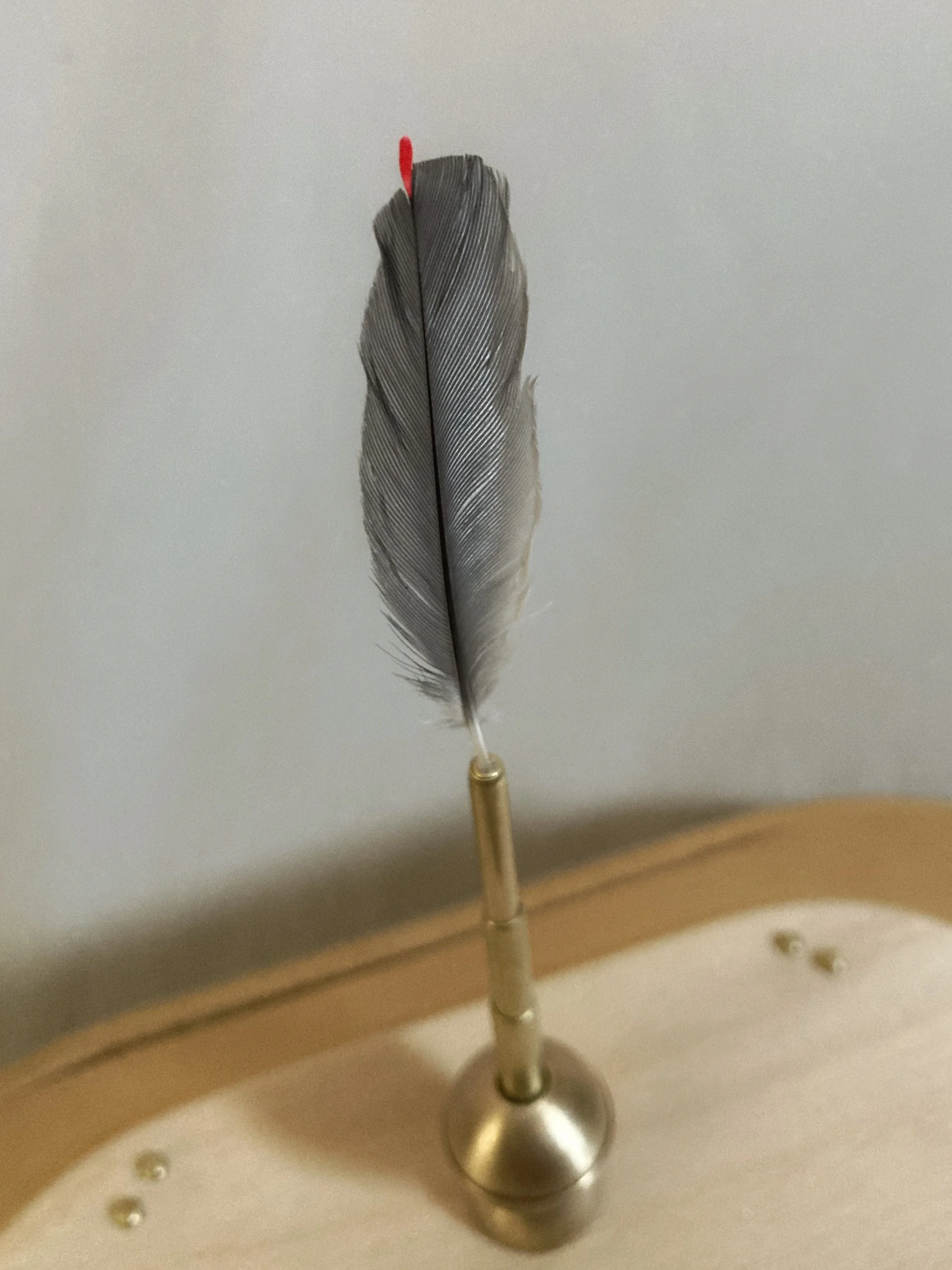 Gray feather quill pen with a red tip in a brass inkwell on a desk